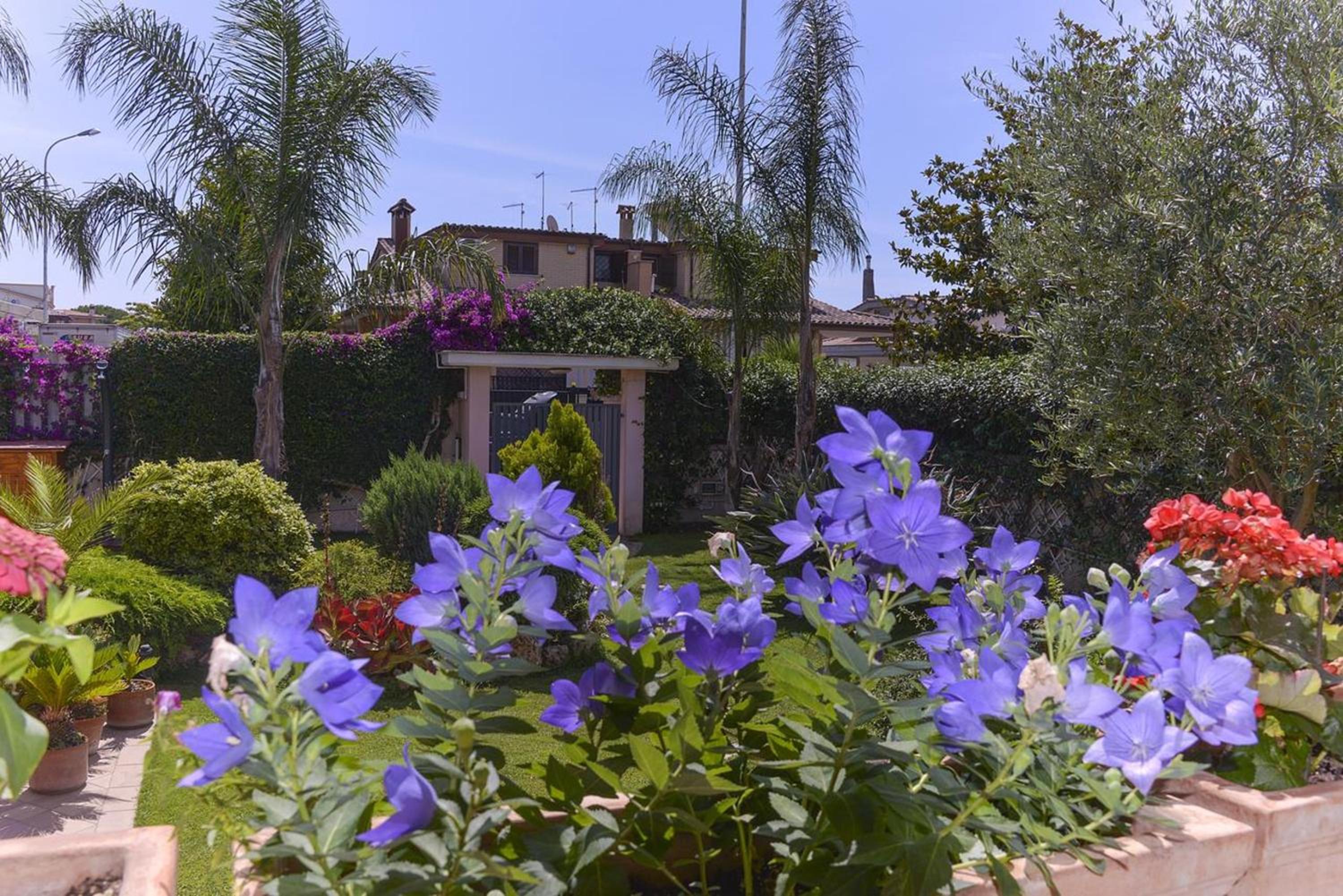 Cosy Villa in Ladispoli with Private Pool view 5
