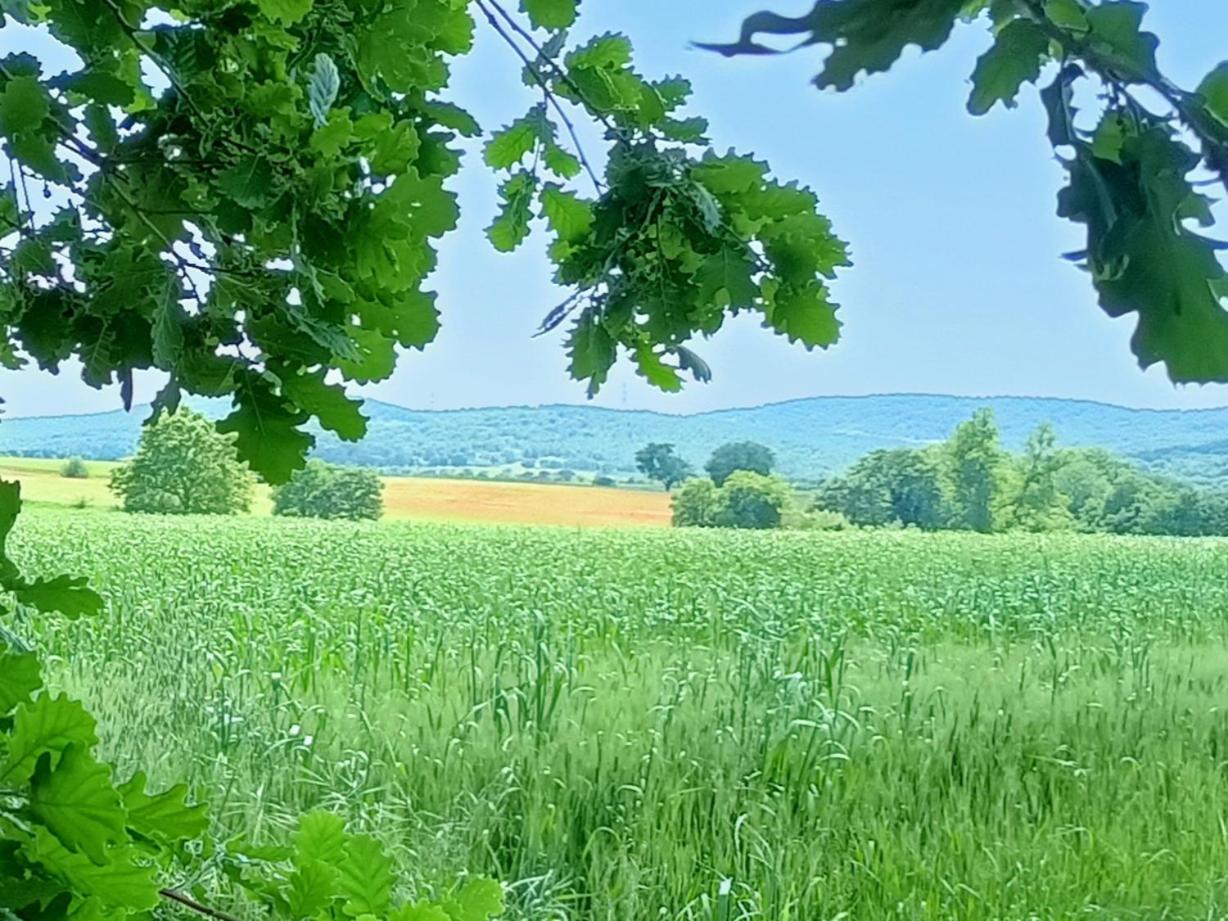 Il Giardino nell'Orto