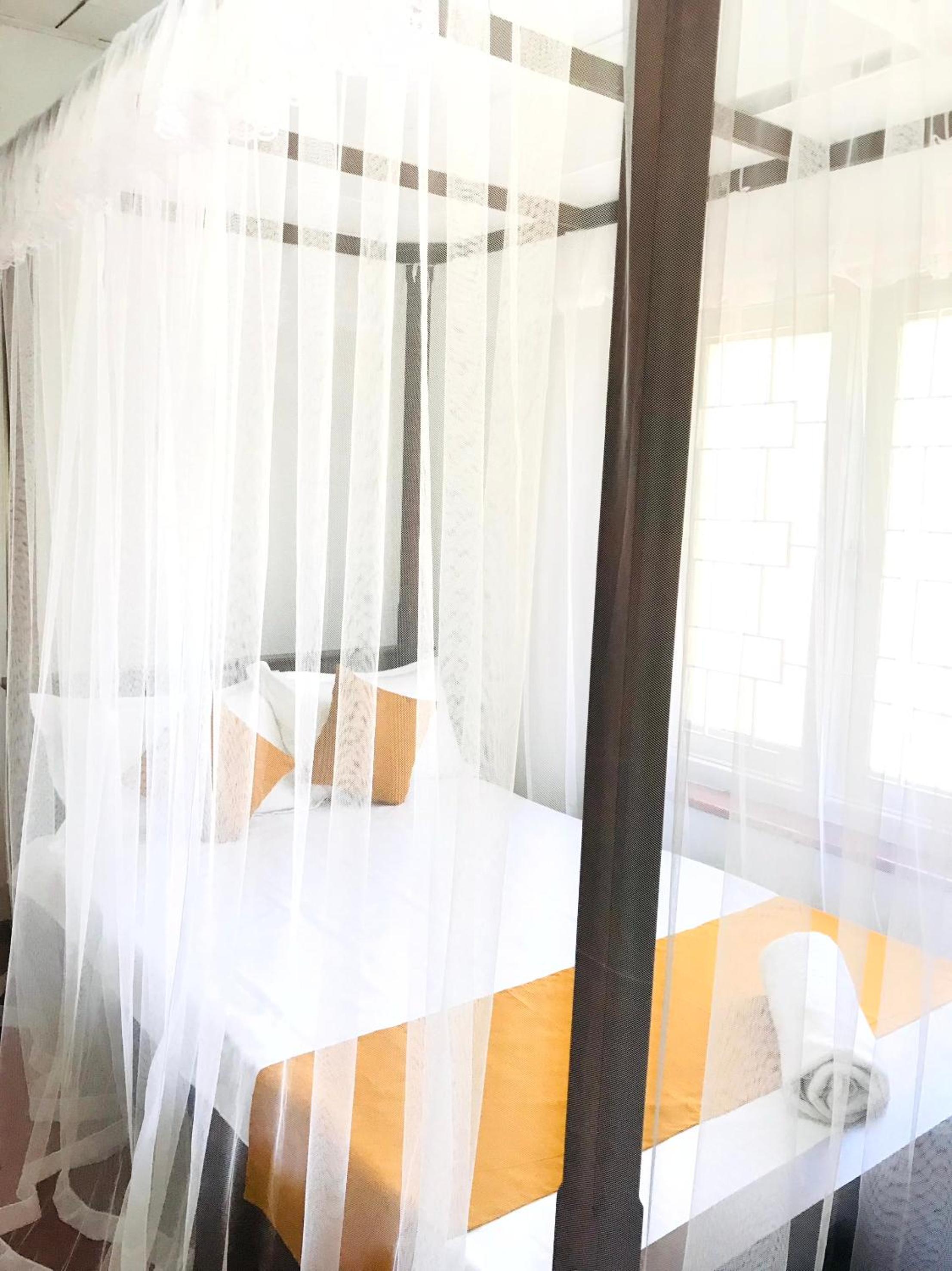 Cafe Tangola Home Stay view 2