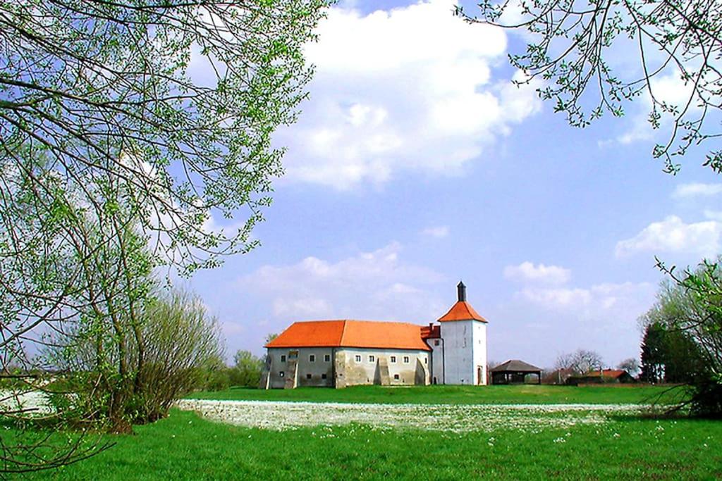Photo 48