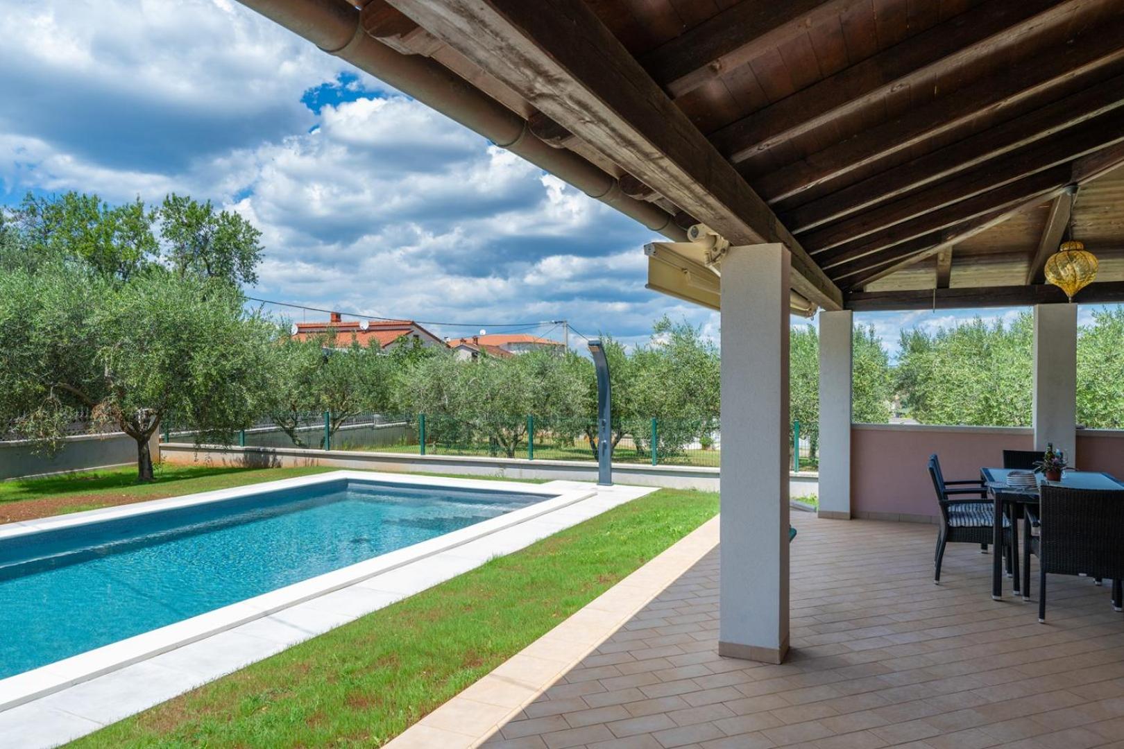 Olive tree oasis with heated pool view 5