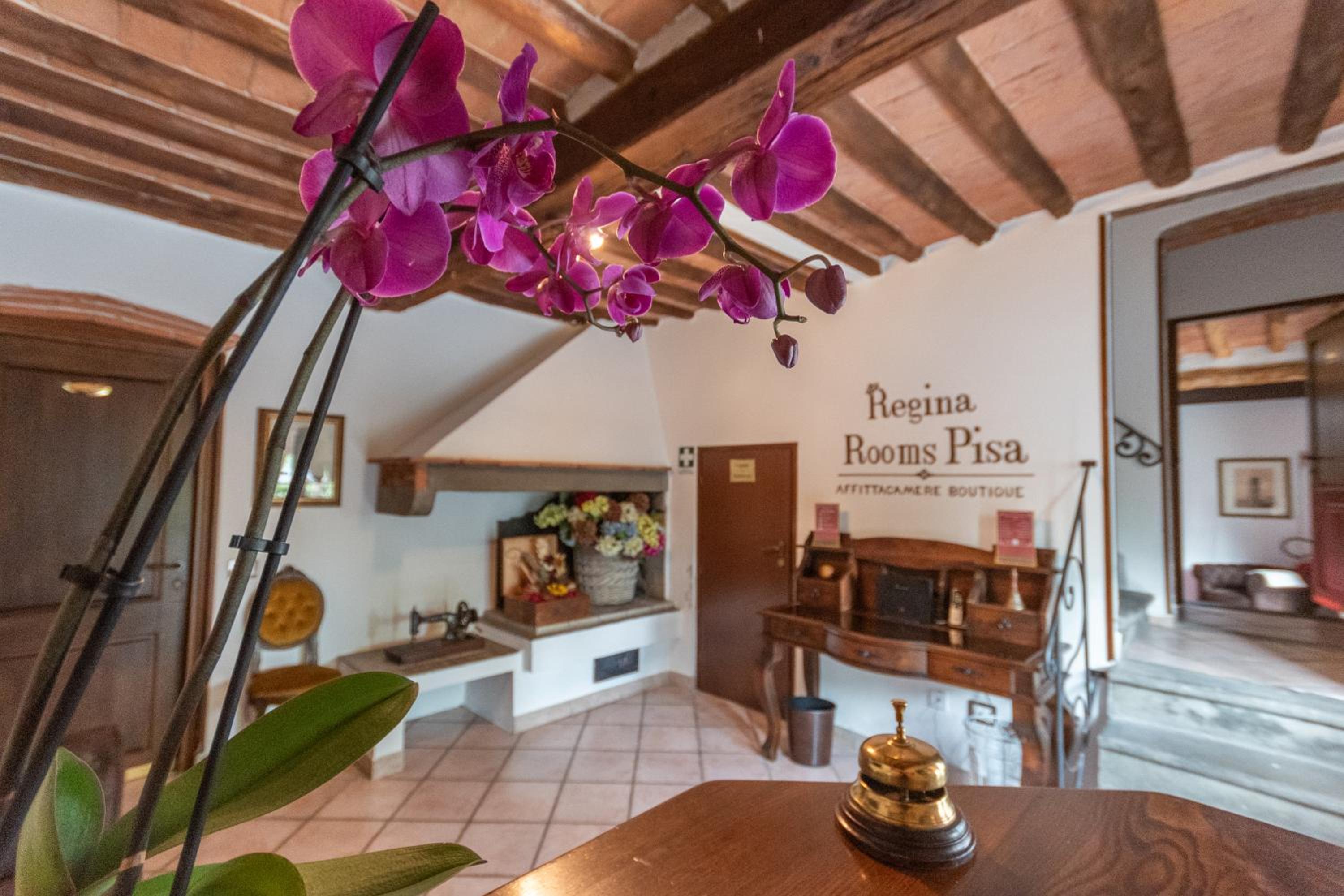 Regina Rooms Pisa view 3