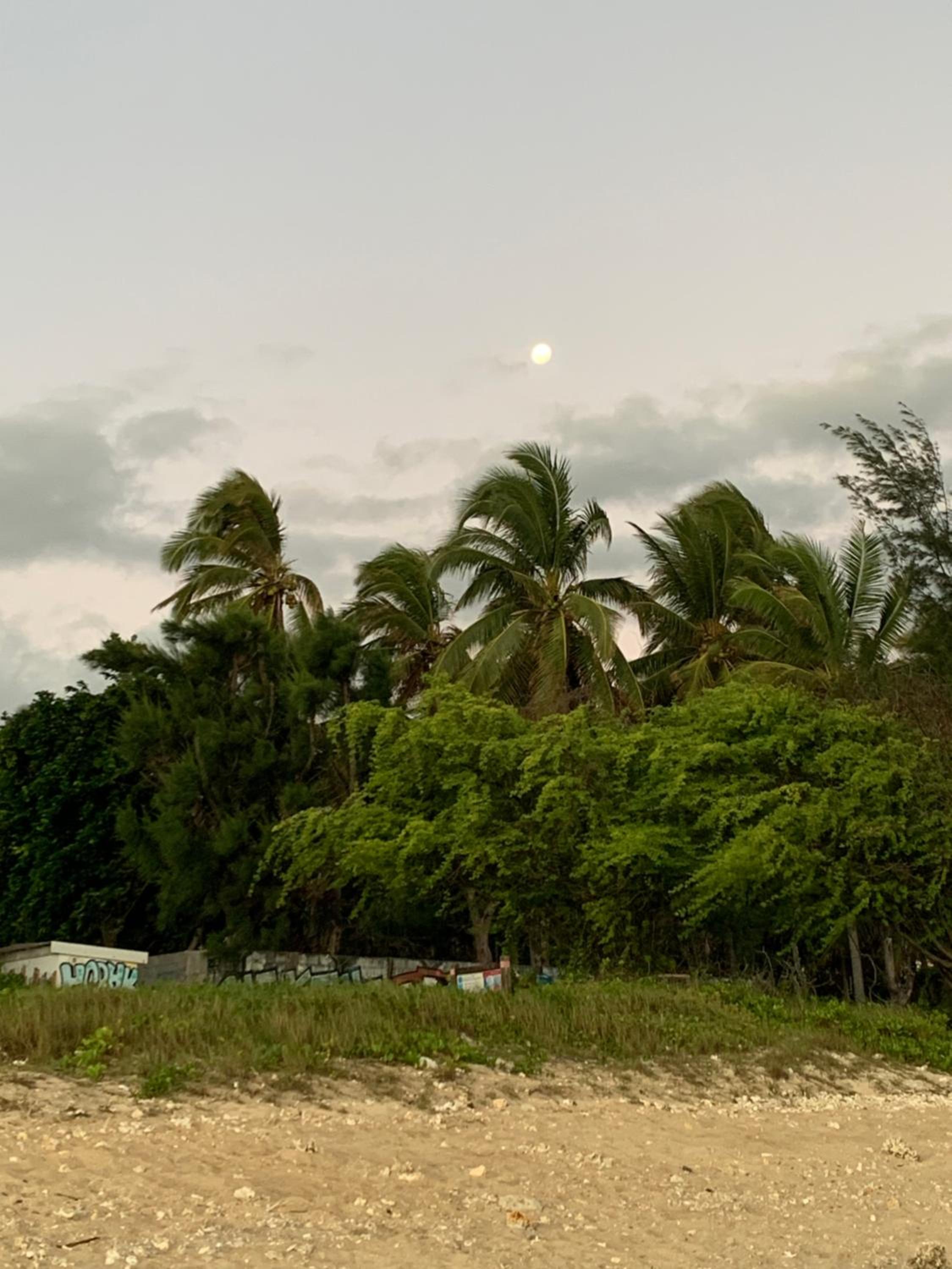 Photo 20