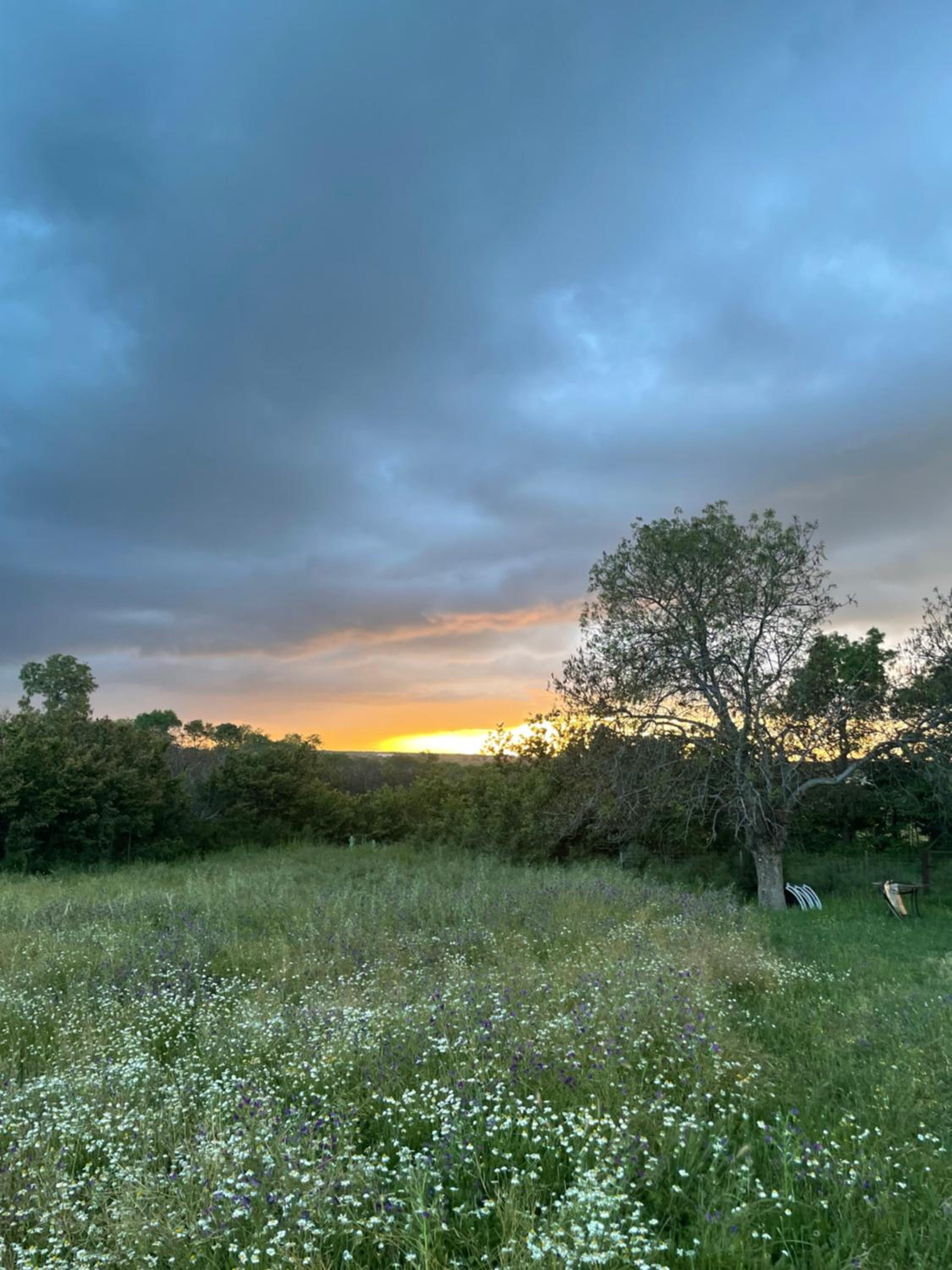 Agroturismo El Mirador de la Cigüeña