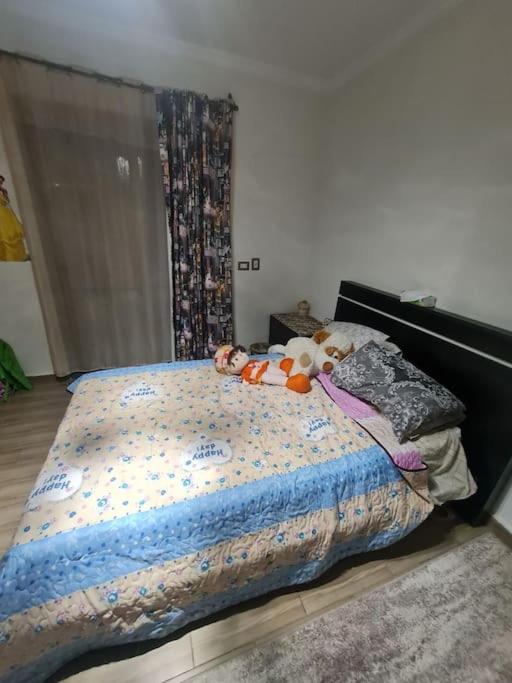 cozy apartment compound secured