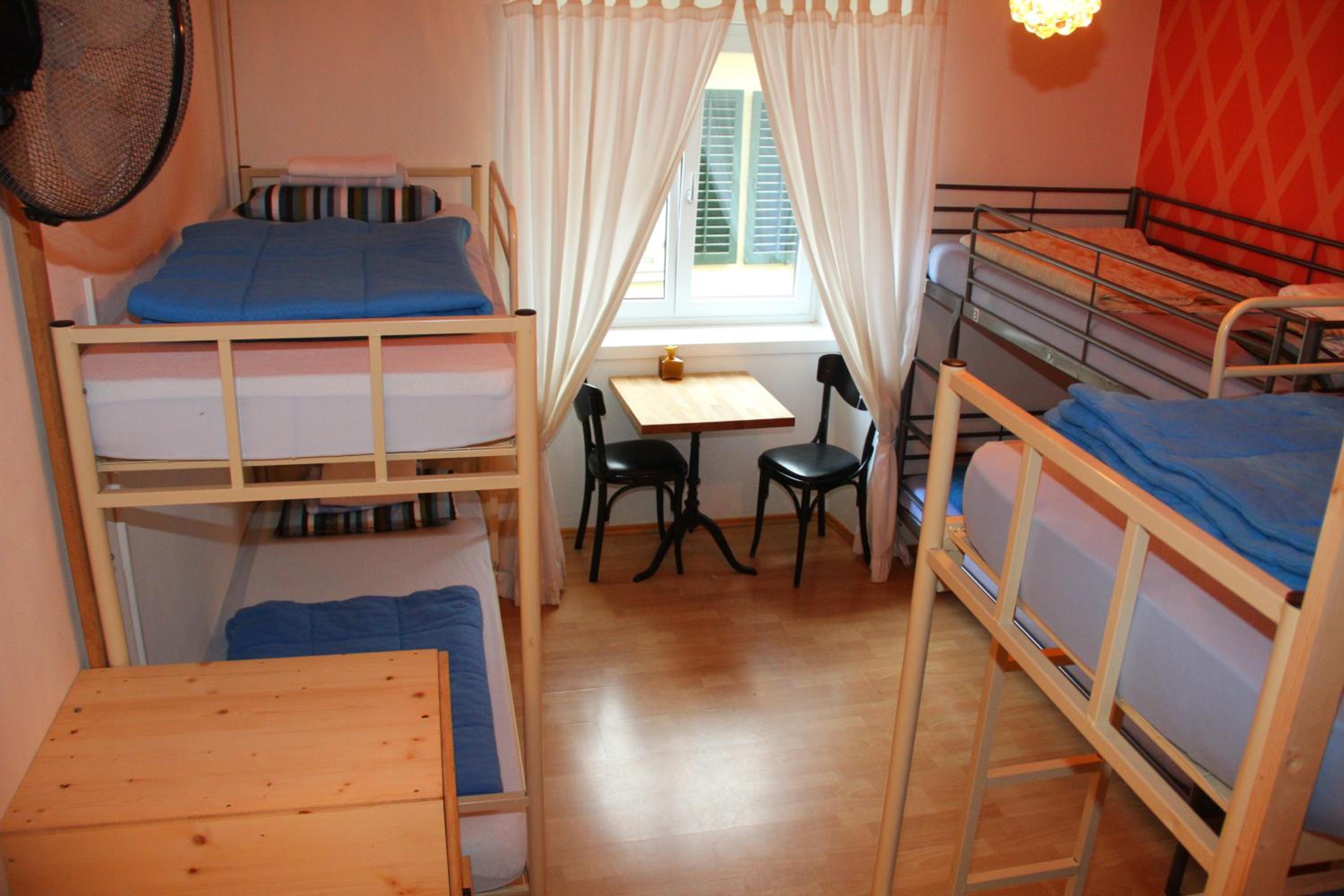 Photo 50