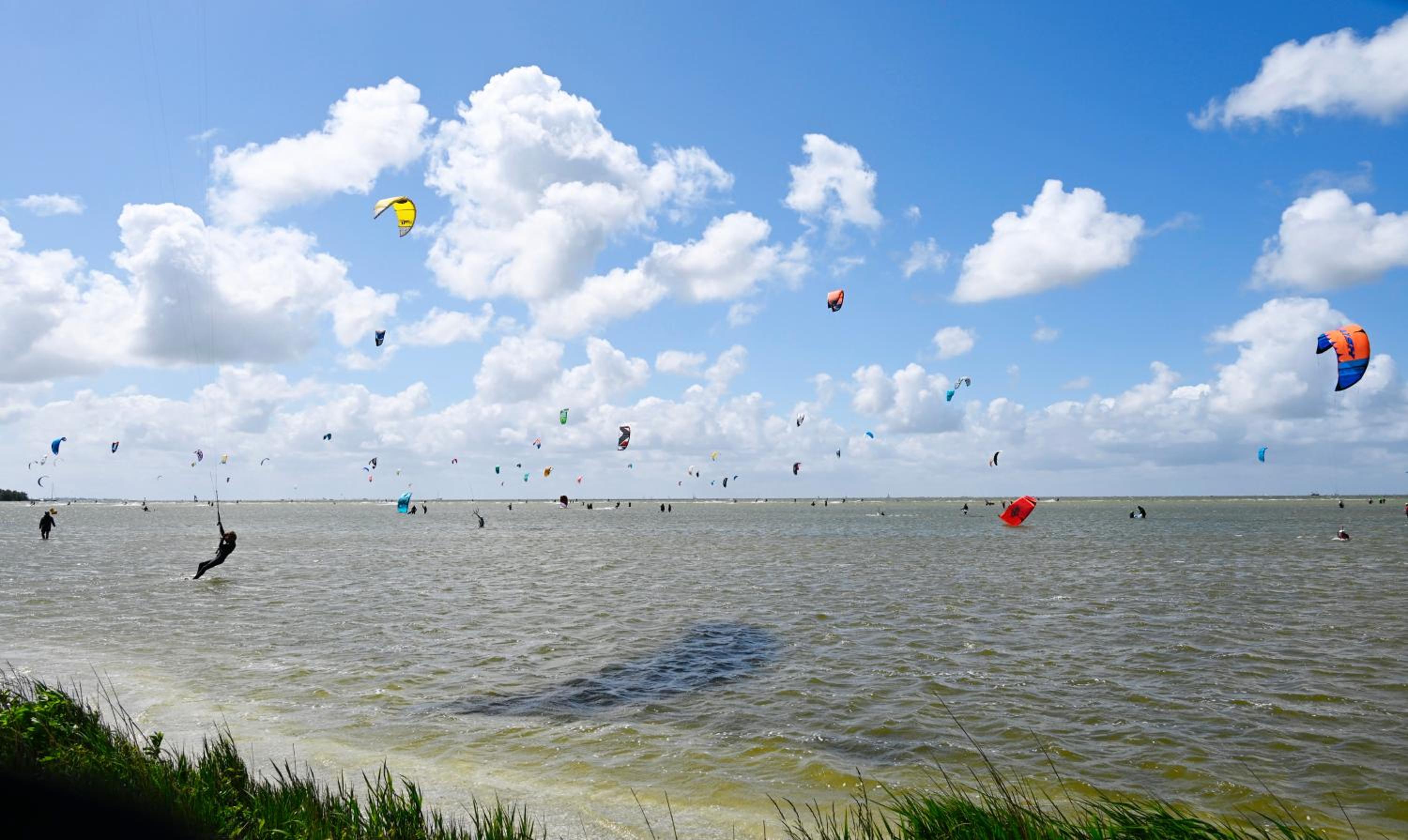 B&B op Landgoed Koepeltjesplaats view 3