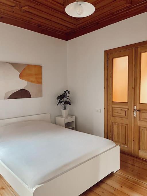 Renovated Historical Manor
