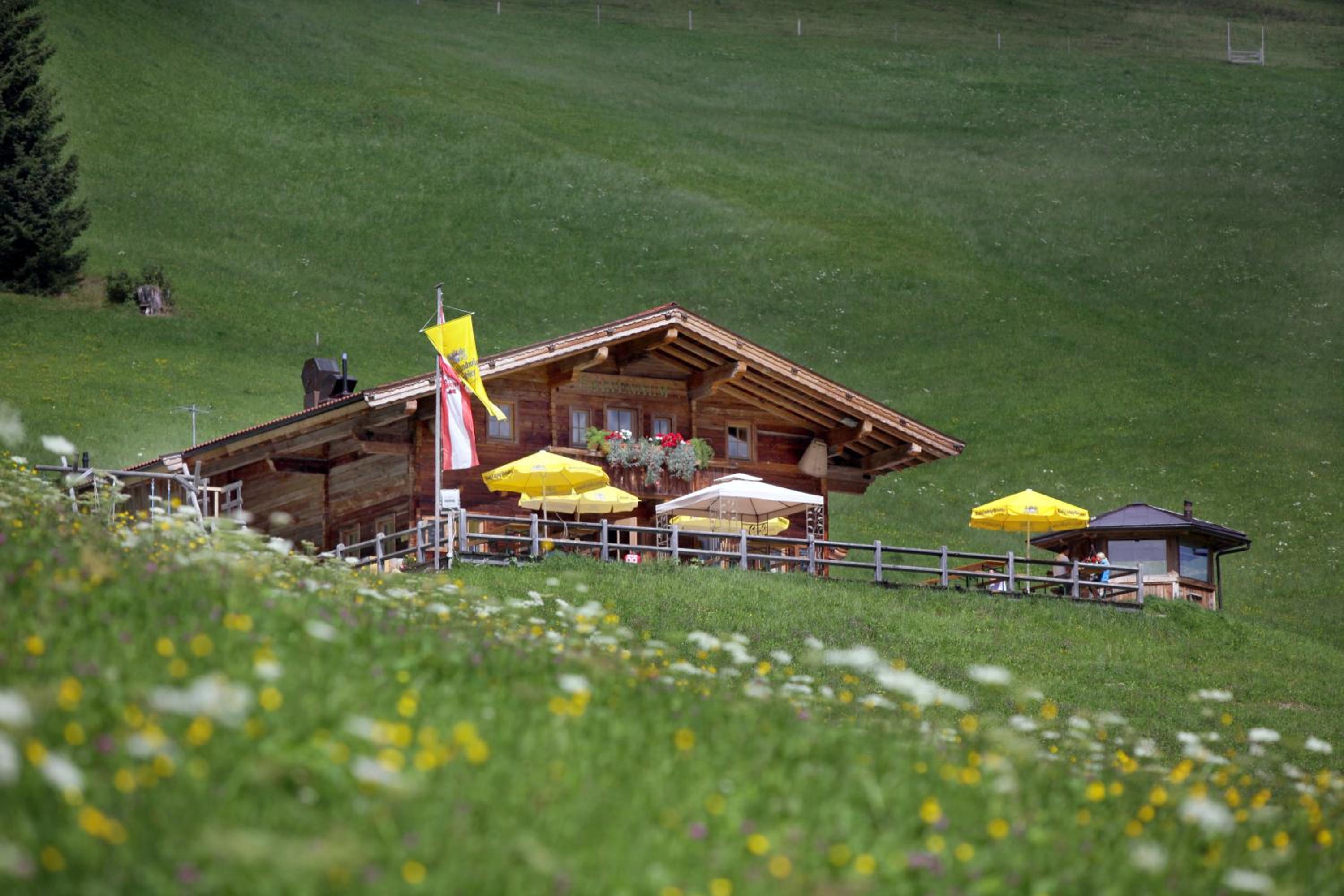 Salvenalm