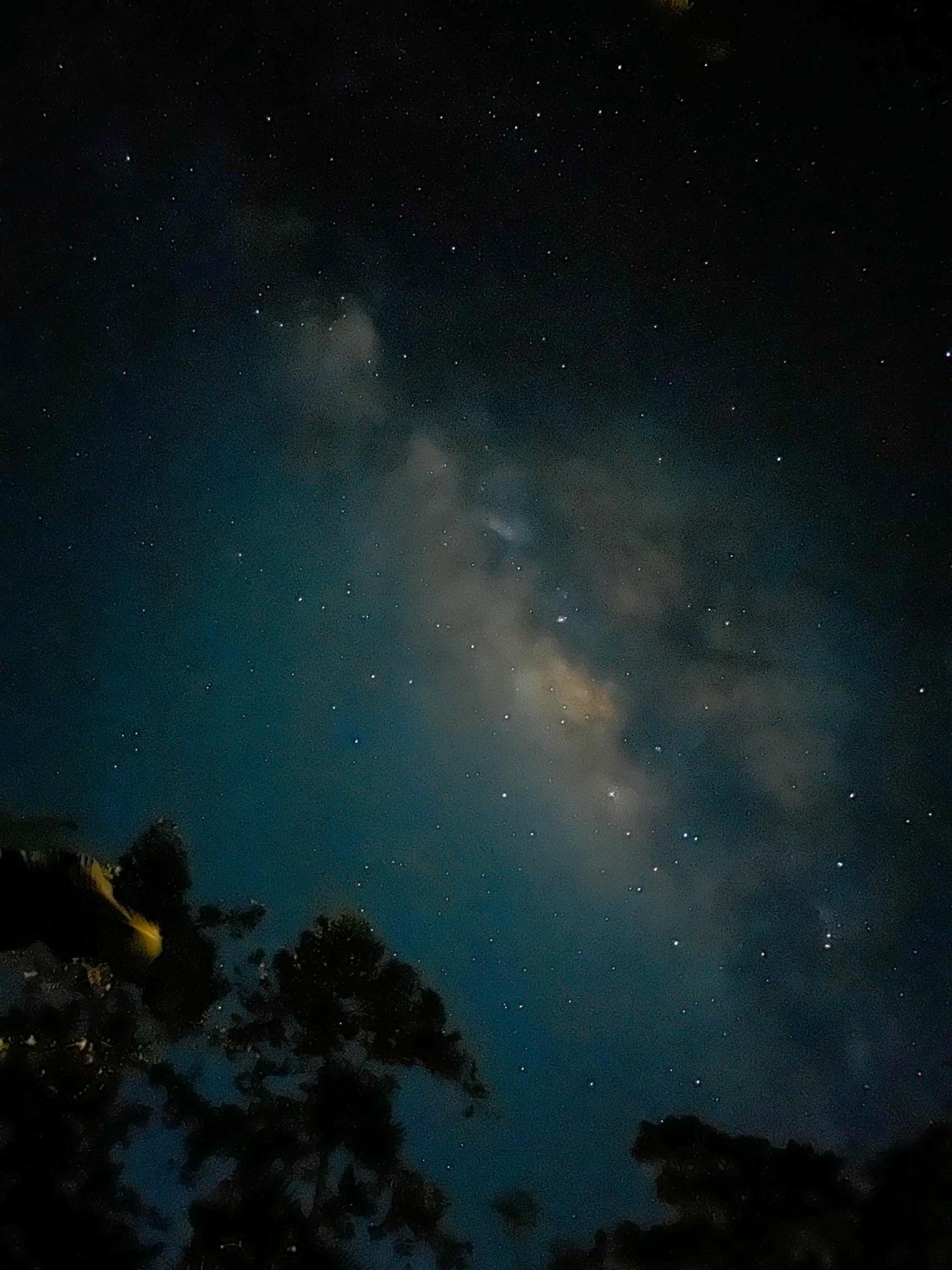 Cabin Camping at Balay Hilway view 3