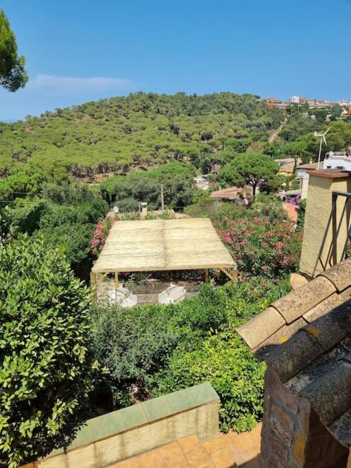 Picasso Mountain View Begur