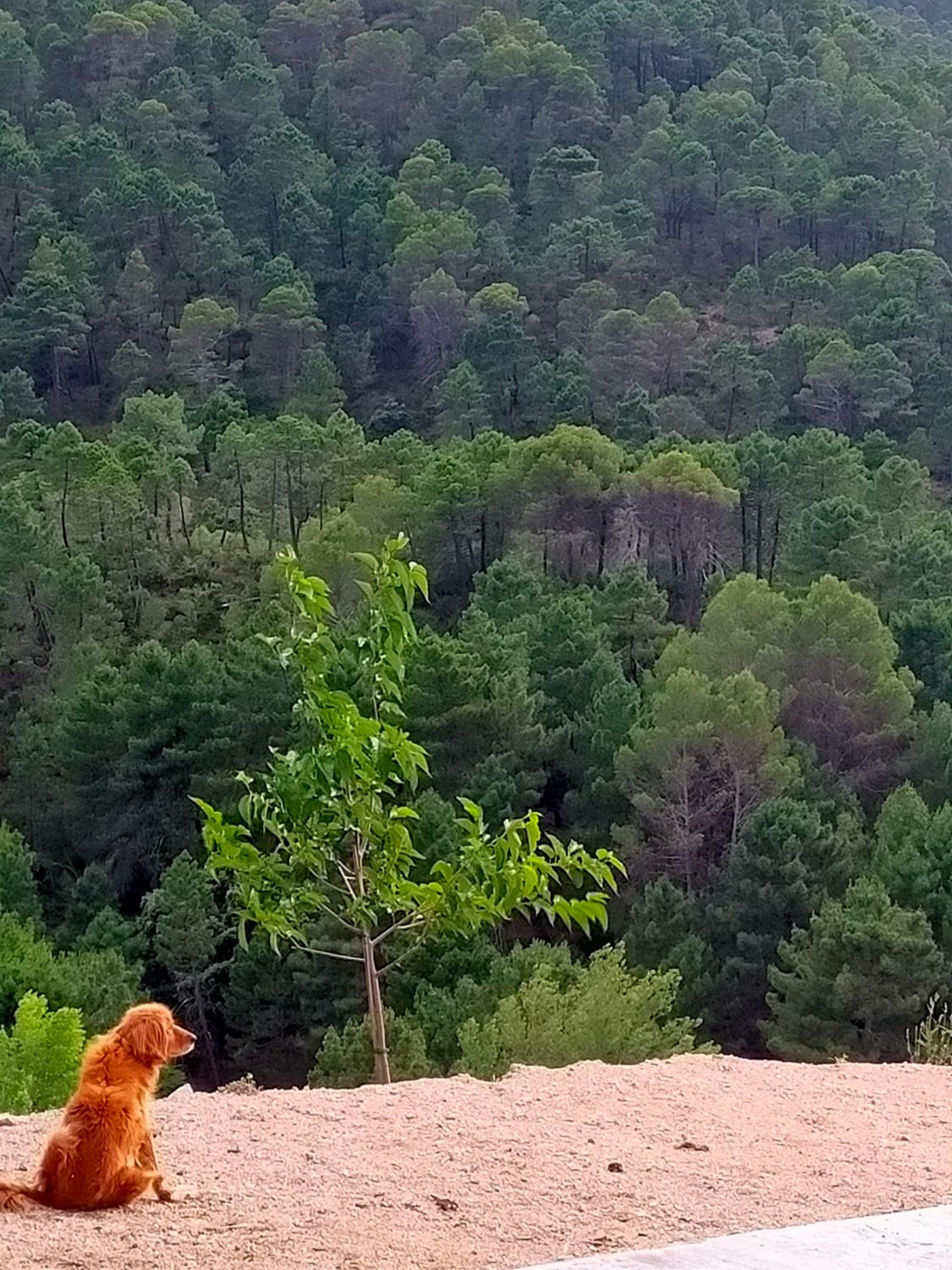 Casa Rural Mi Rincón Exquisito