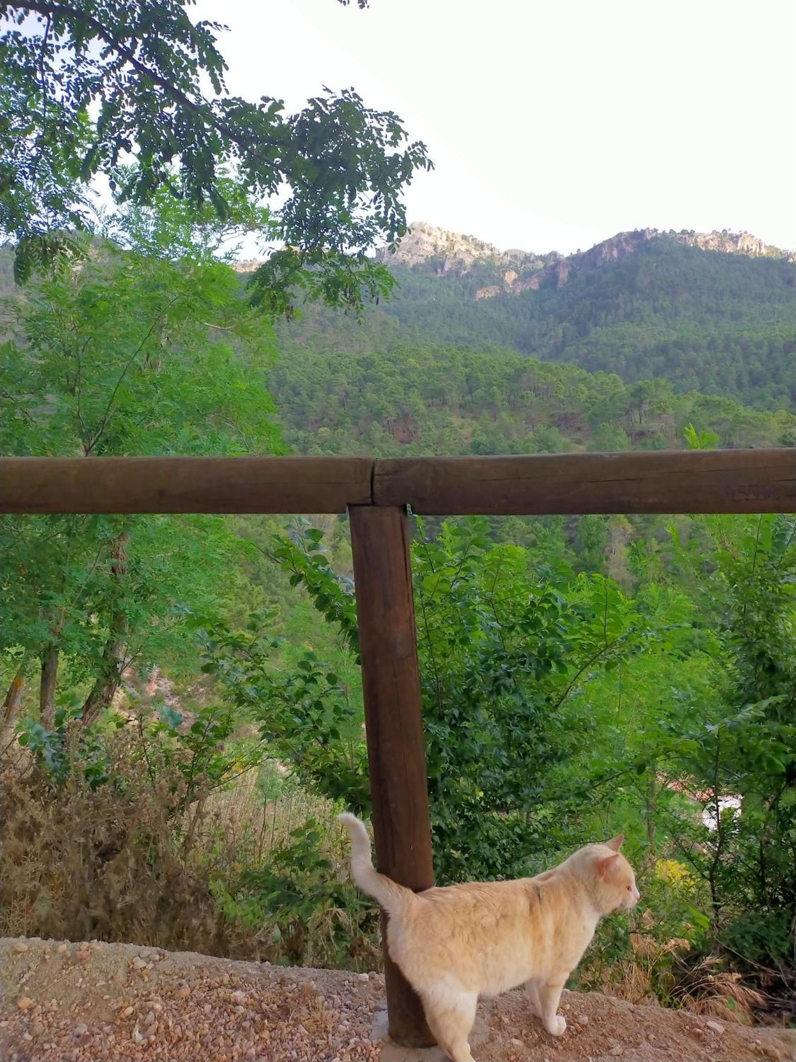 Casa Rural Mi Rincón Exquisito