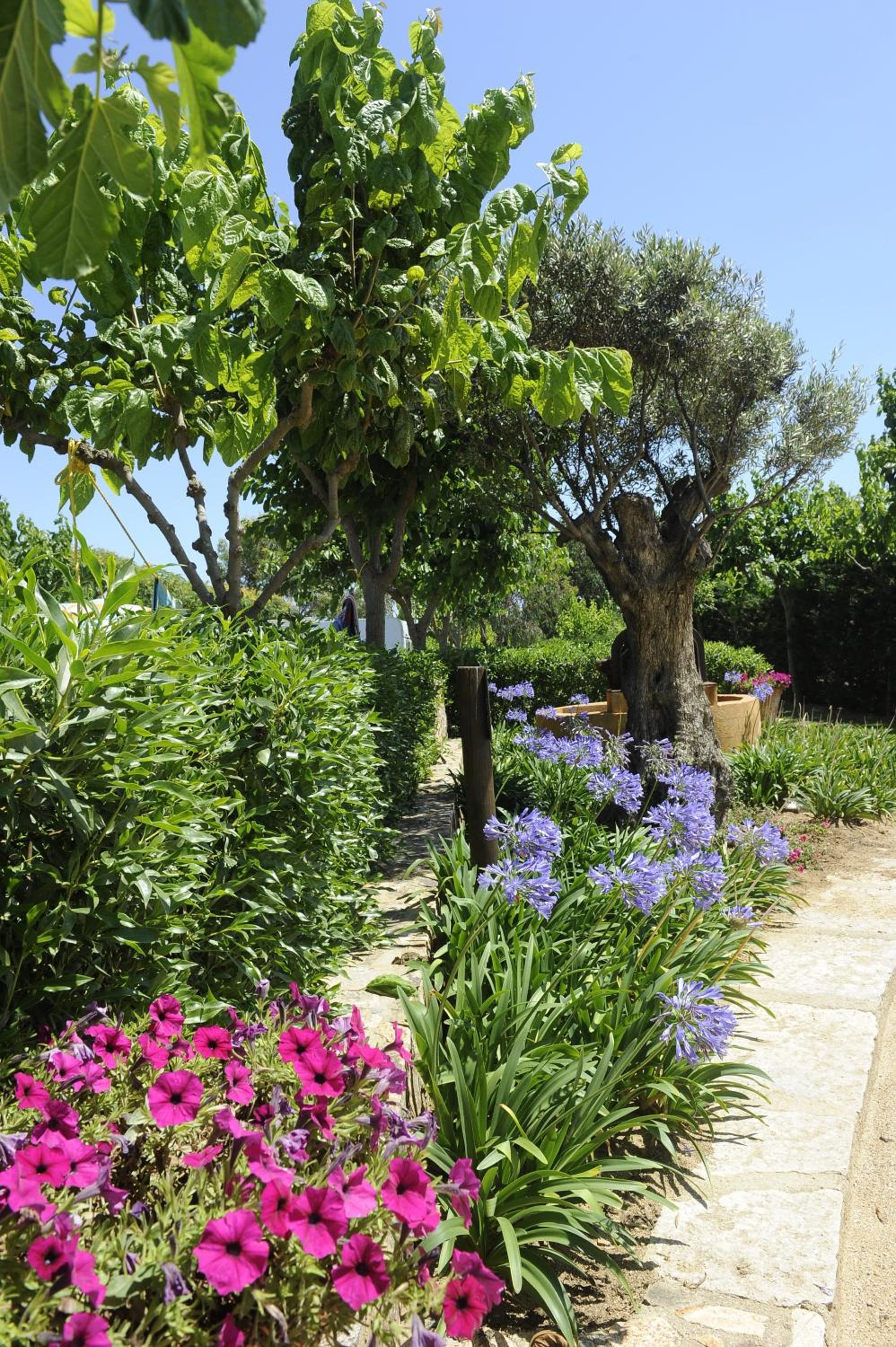 Camping Del Mar