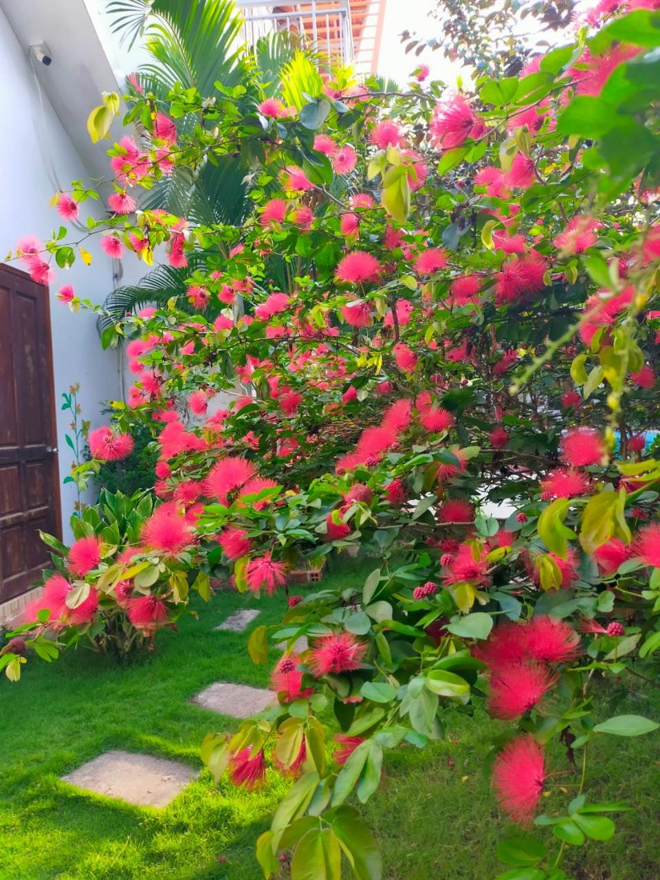 Serenity Garden