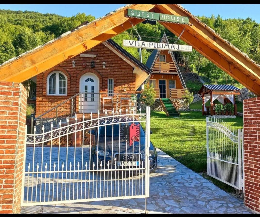 Vilat Pllumaj