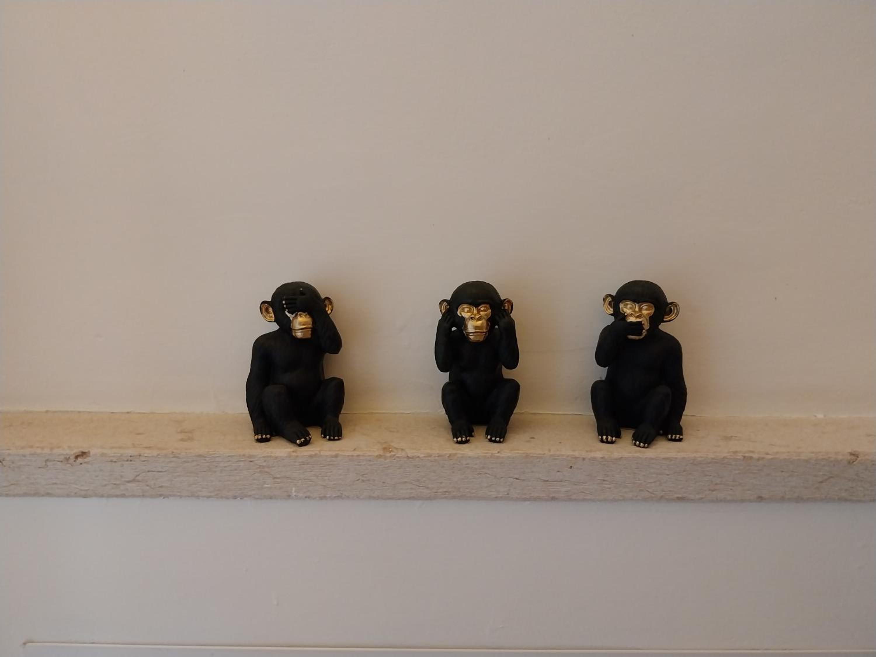 Photo 46
