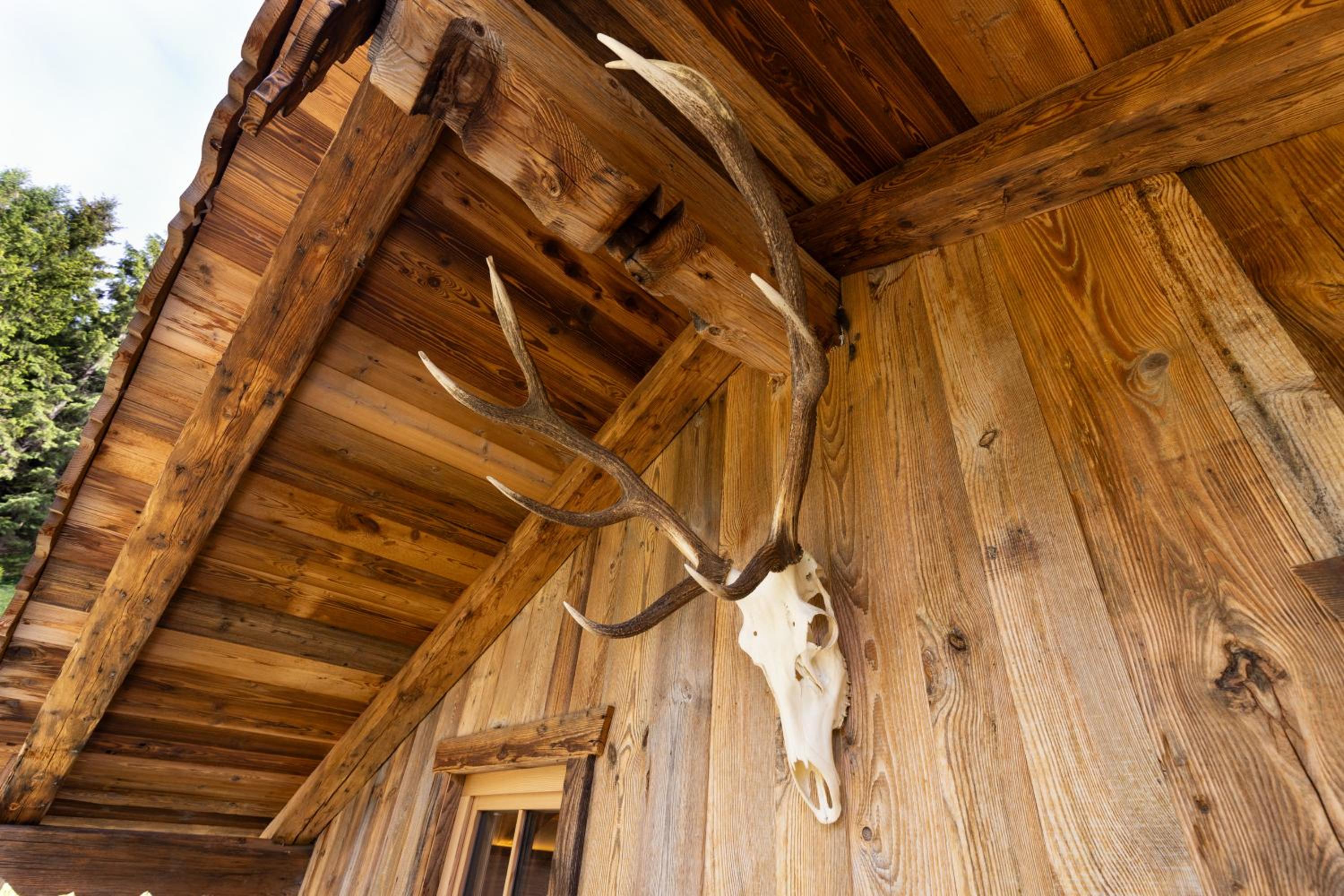 Chalet Haarberg