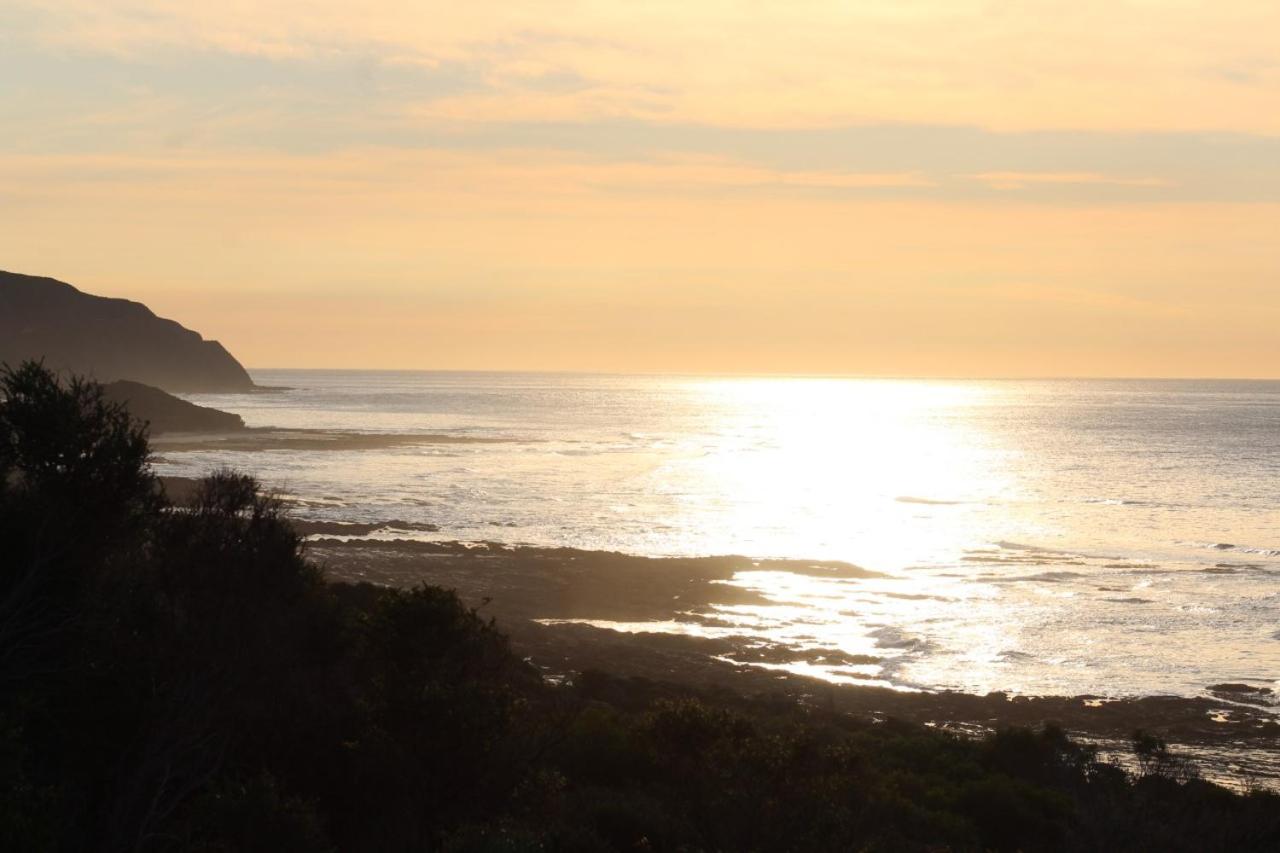 Points South By The Sea
