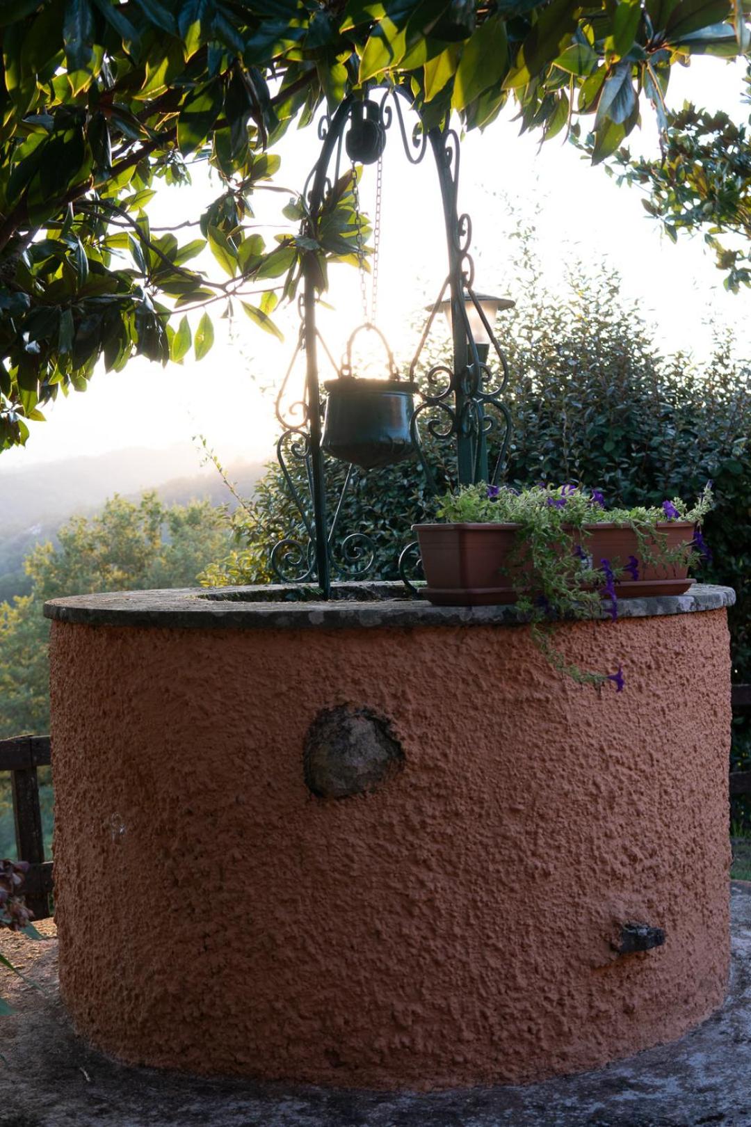 Il Borgo nel bosco