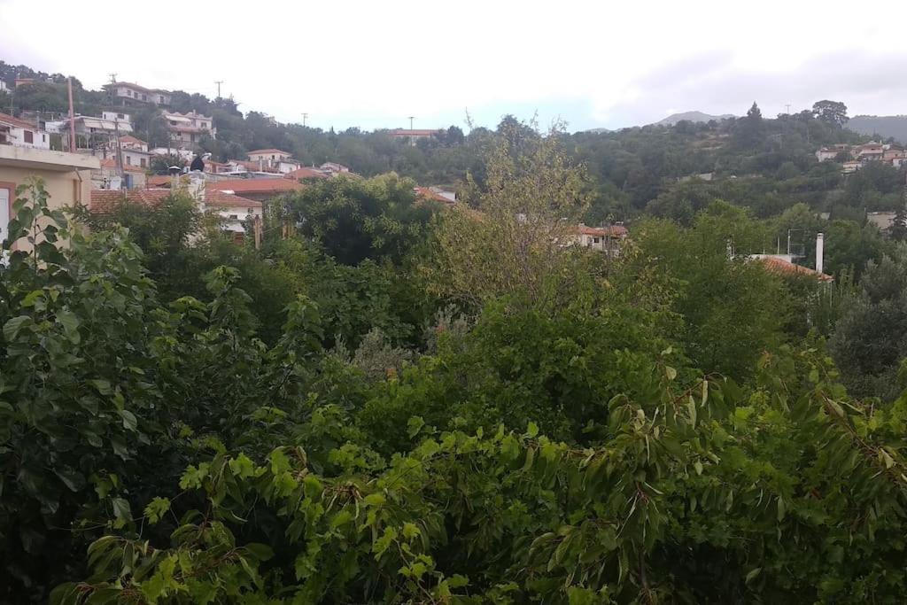 Green Garden appartment with mountain view, Vitala view 5