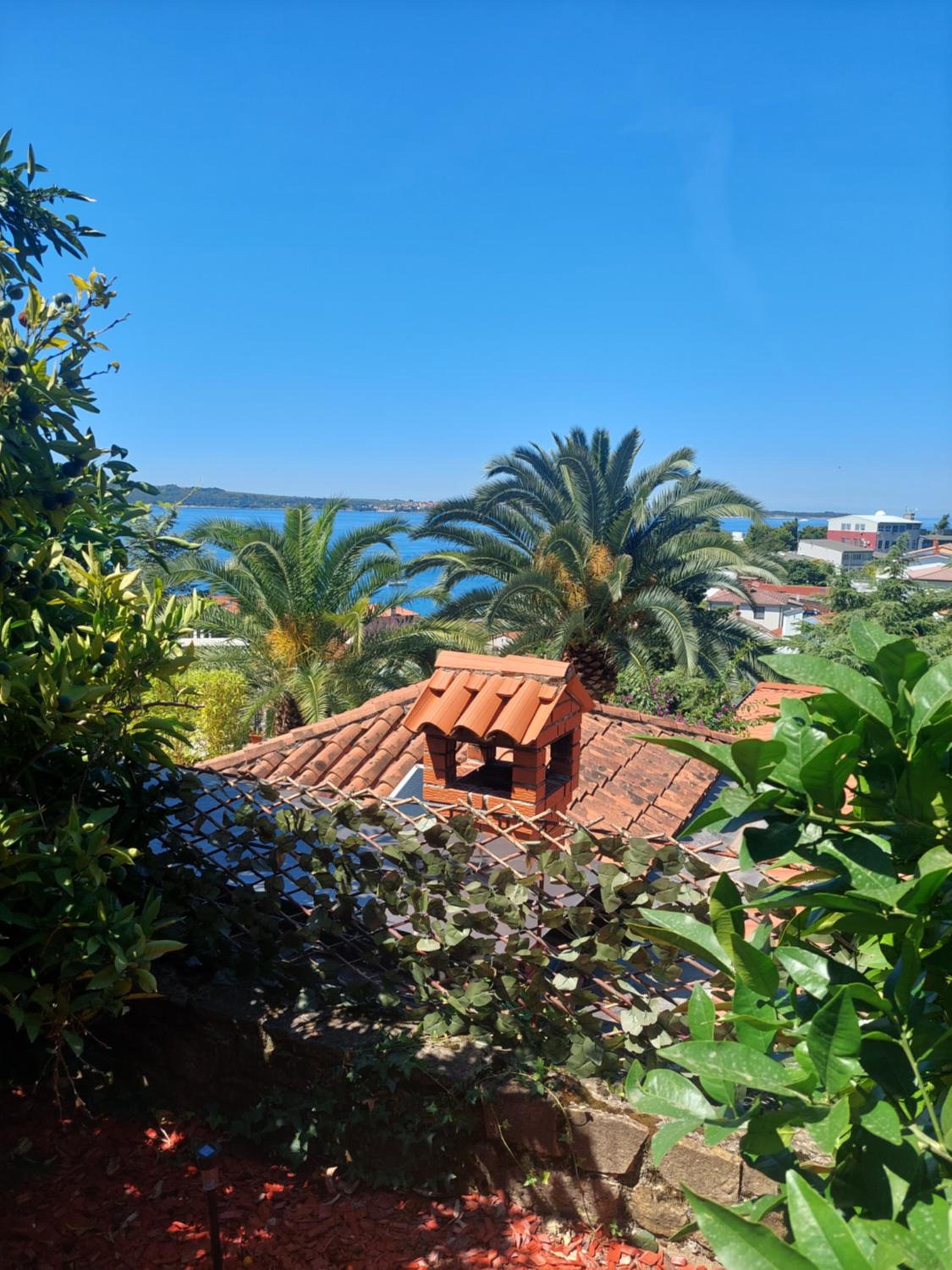Apartma Ursa view 2