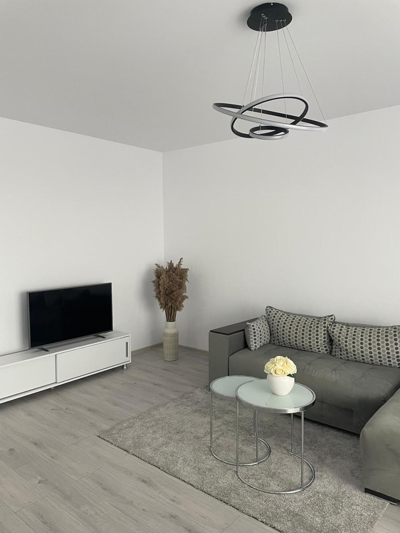 Harmony Apartment Timisoara view 5