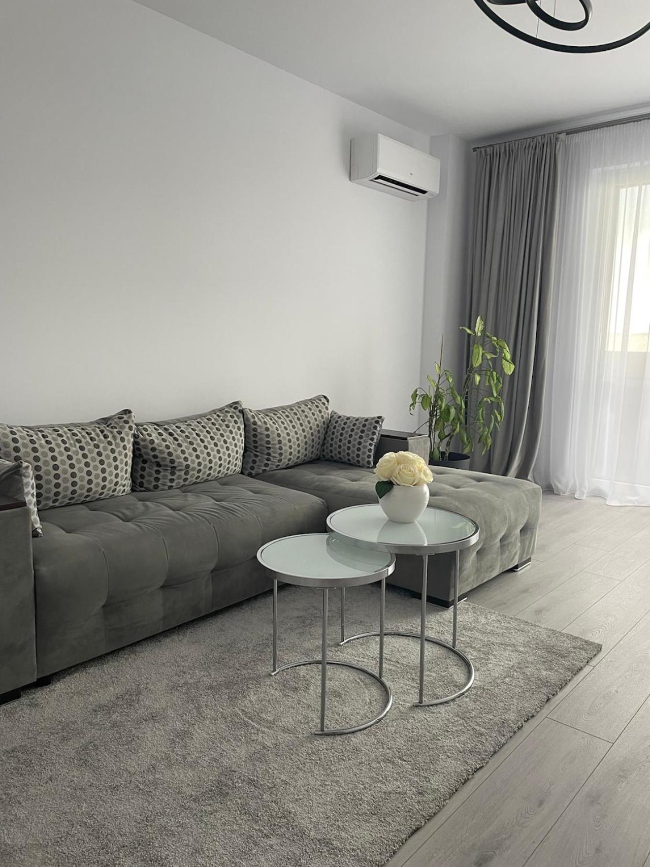 Harmony Apartment Timisoara view 4