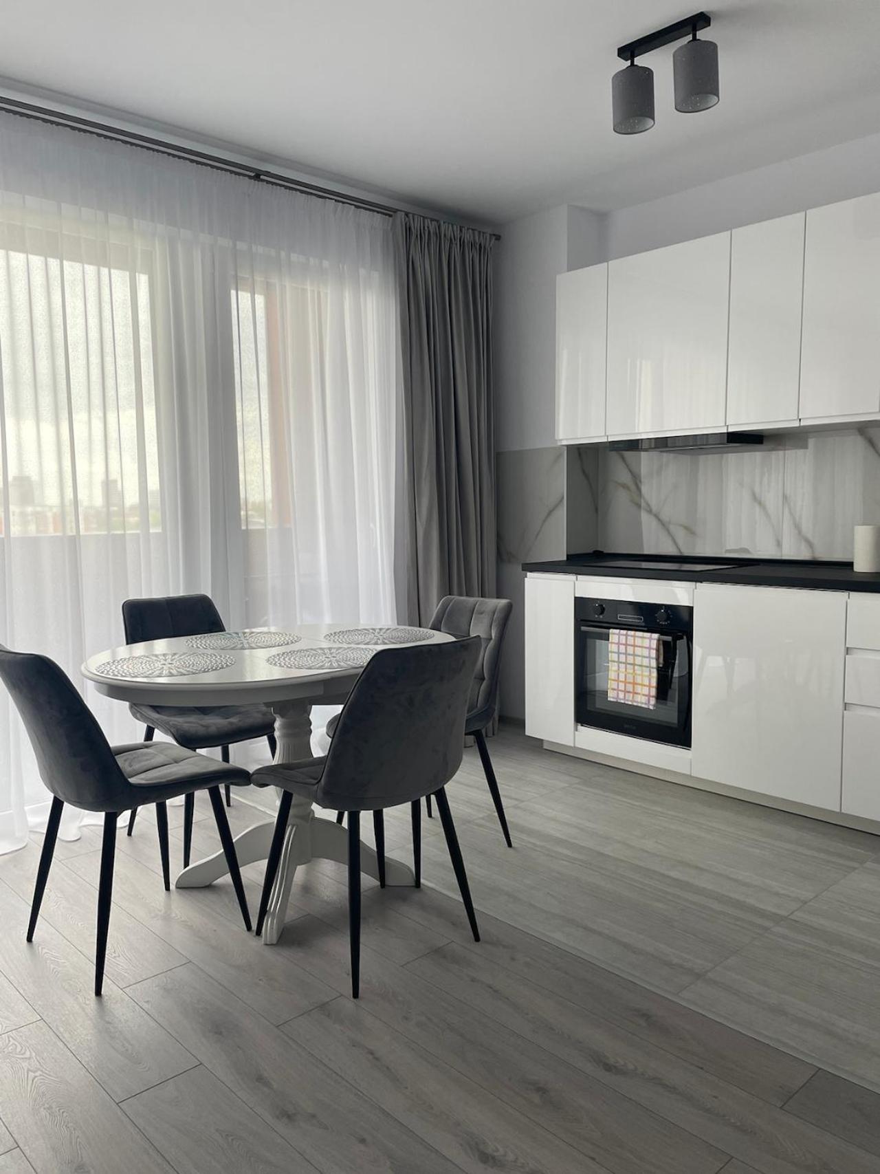 Harmony Apartment Timisoara view 3