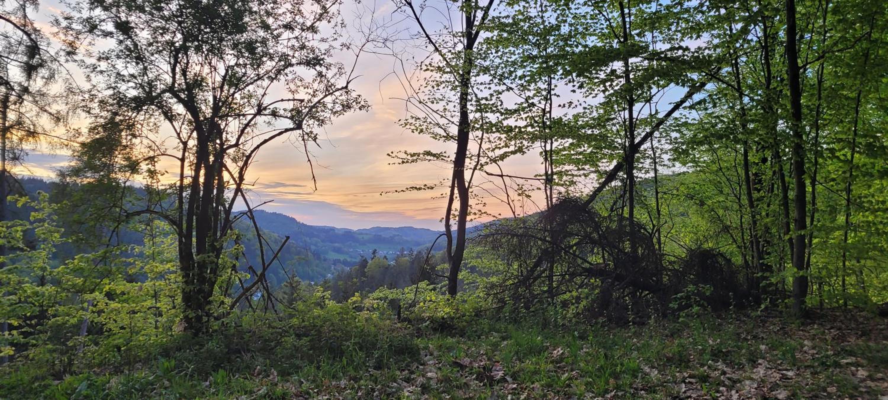 other