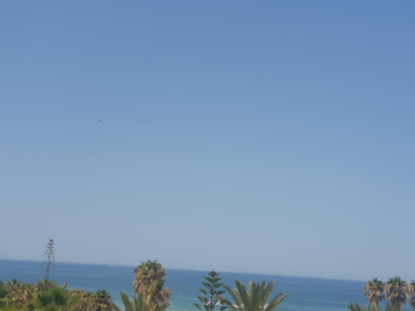 Bogavante Costa Ballena