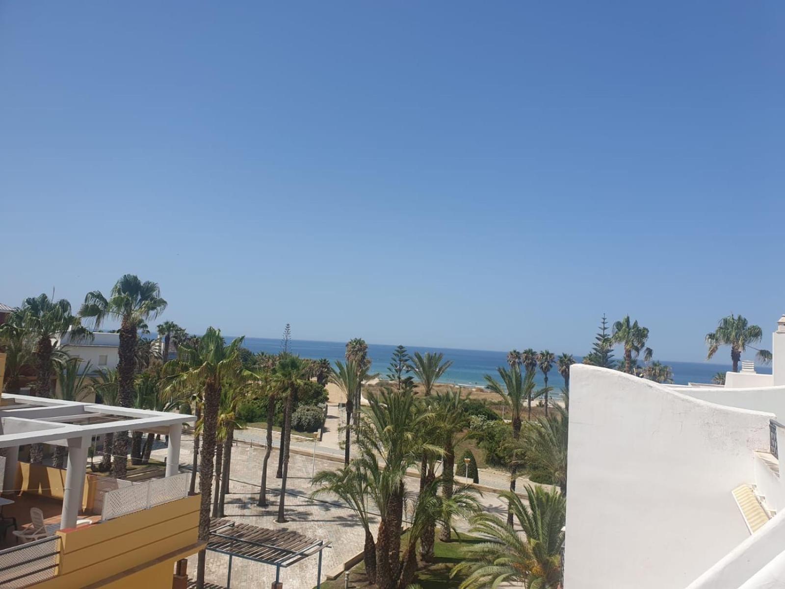 Bogavante Costa Ballena