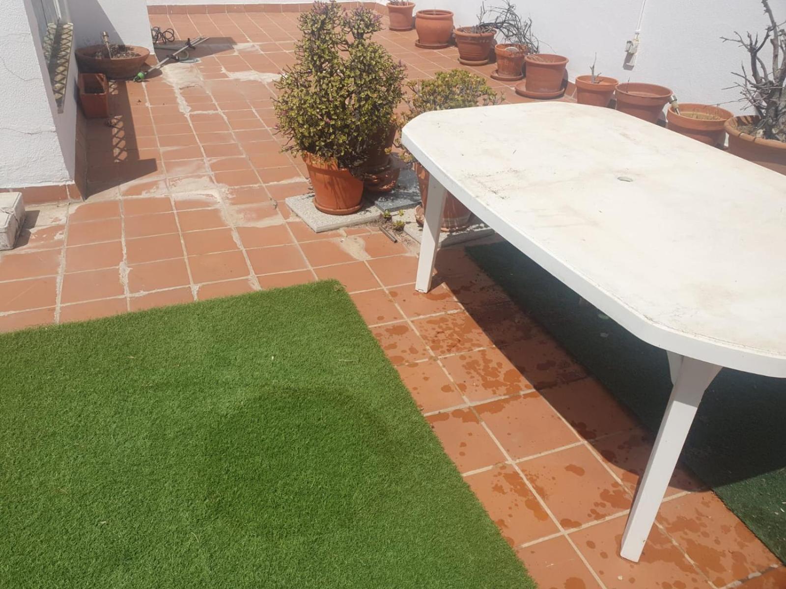 Bogavante Costa Ballena