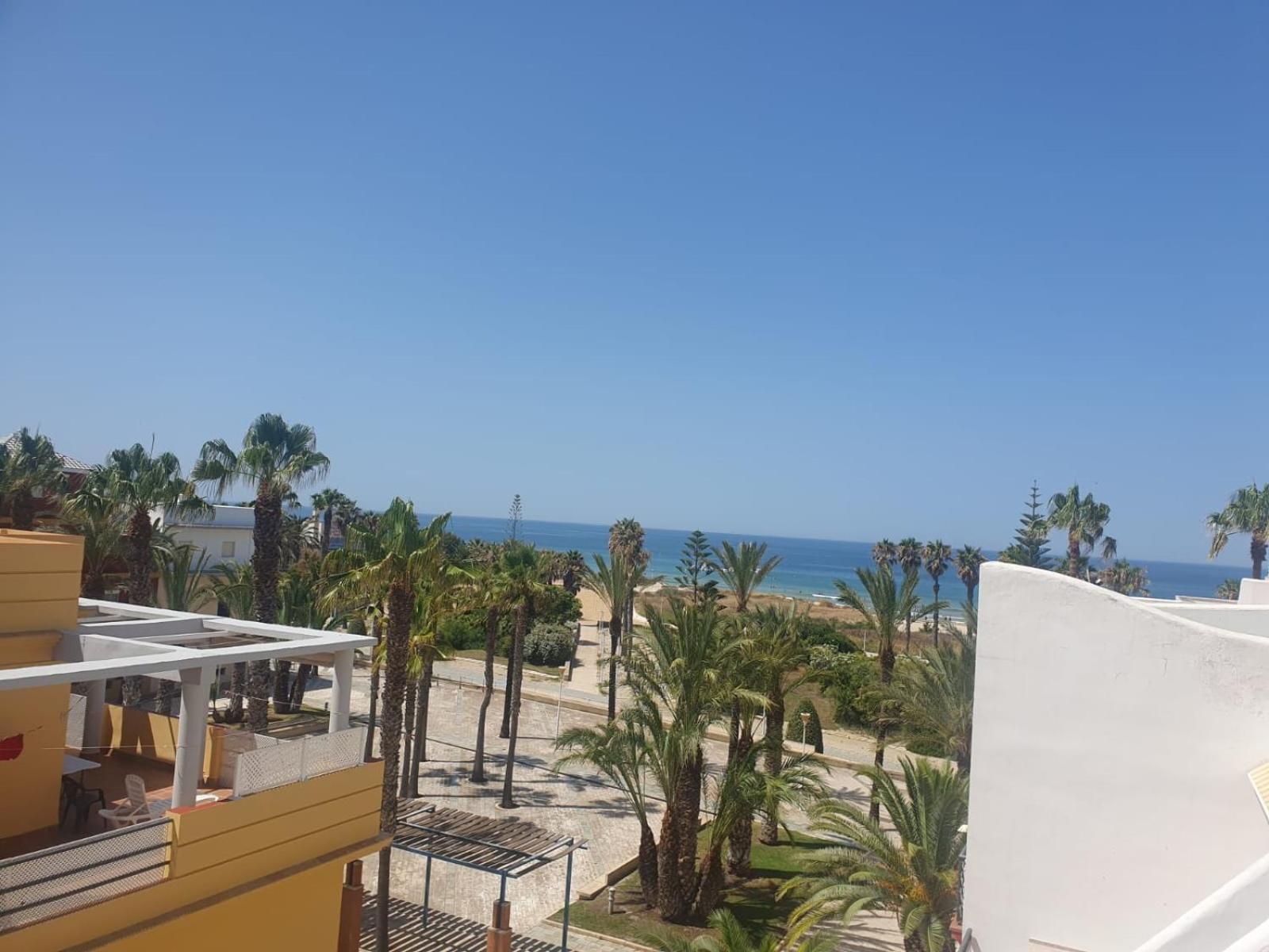 Bogavante Costa Ballena