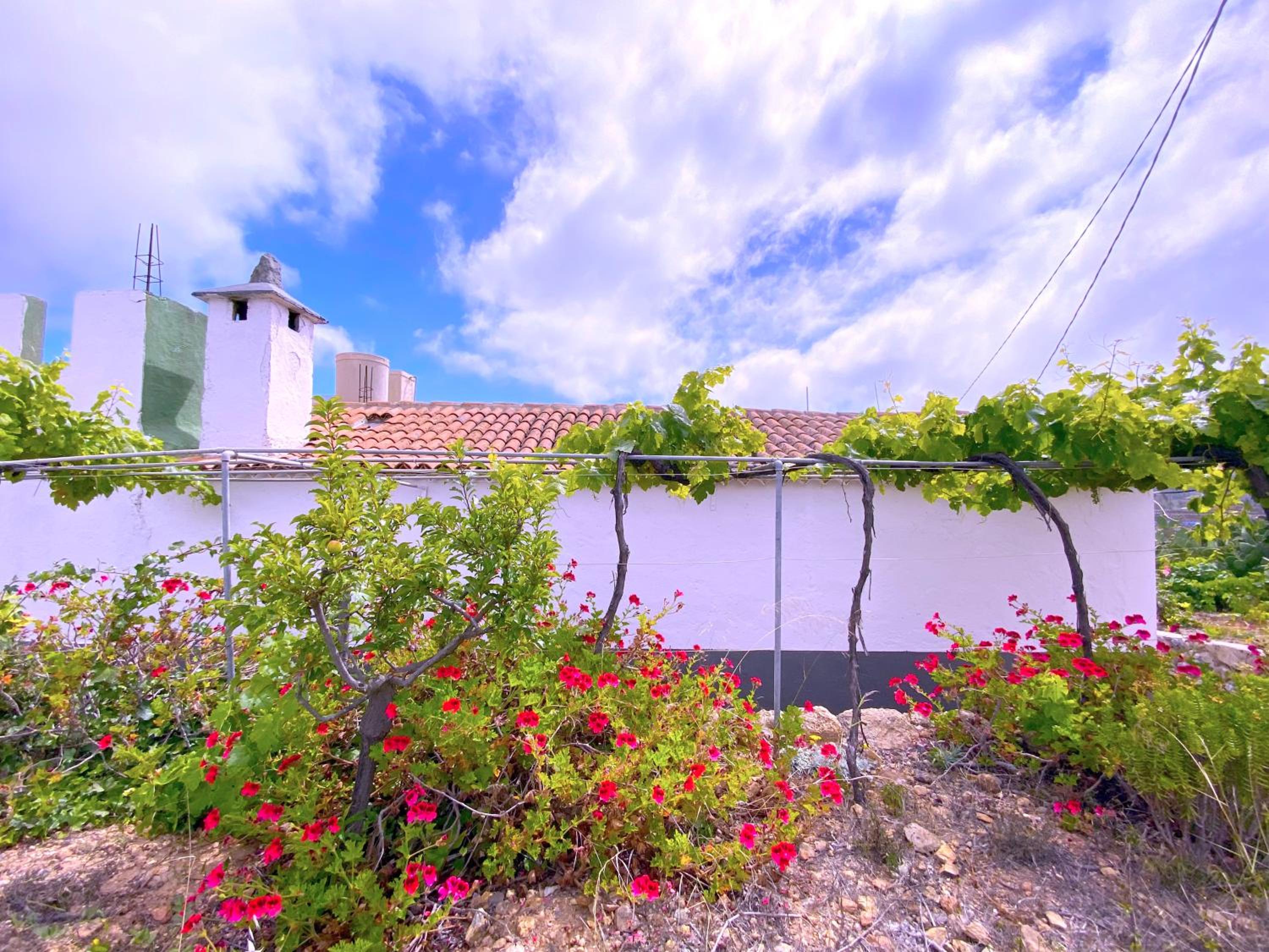 Tropicalidays Mountain Haven Retreat