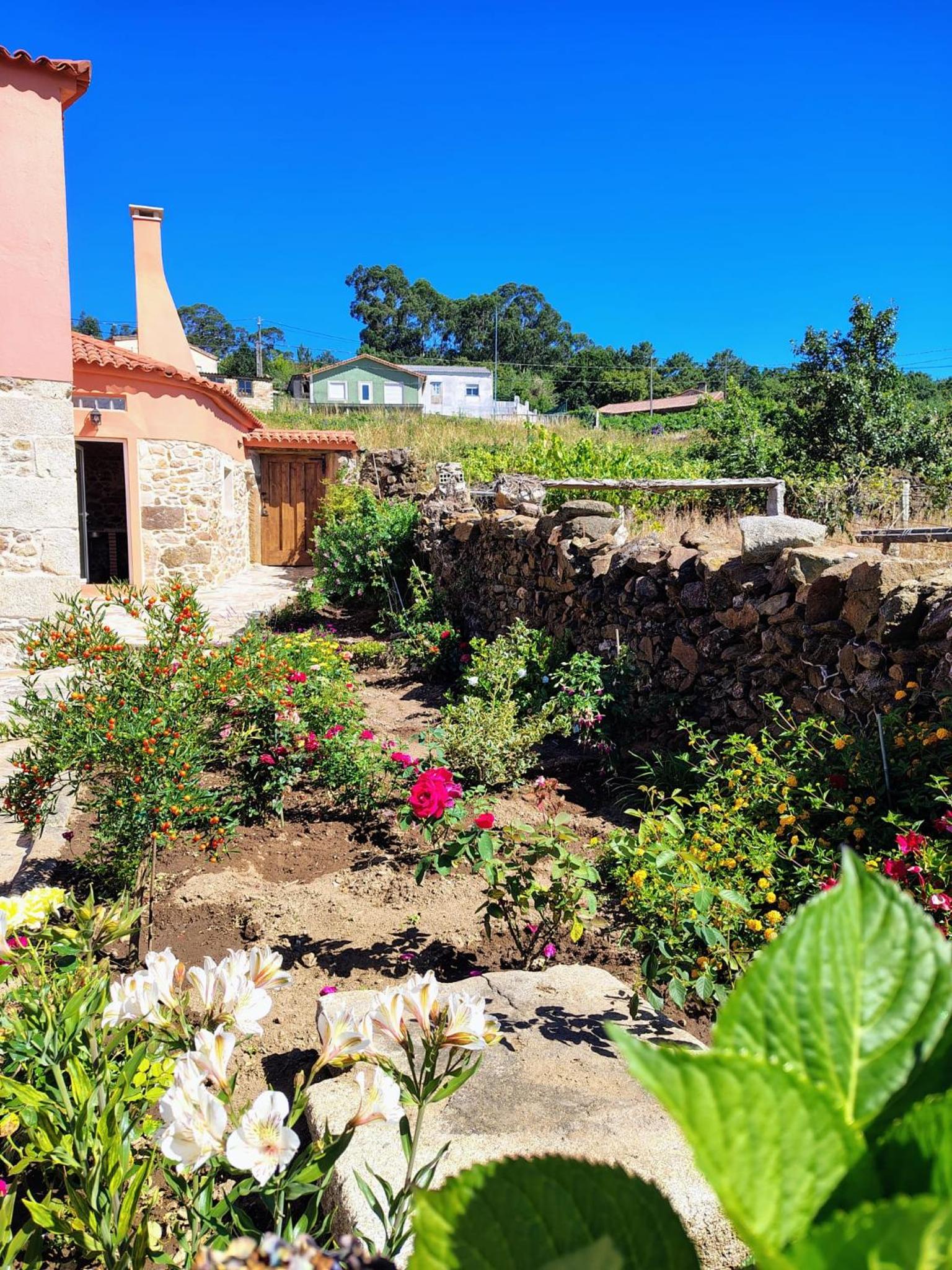 Casa Folhas Novas