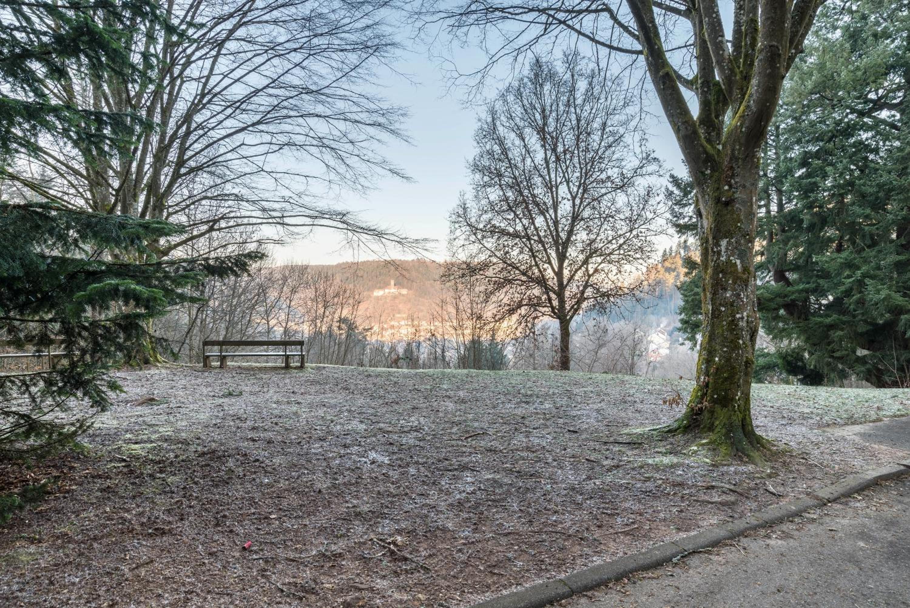 Am Hochwald mit Burgblick