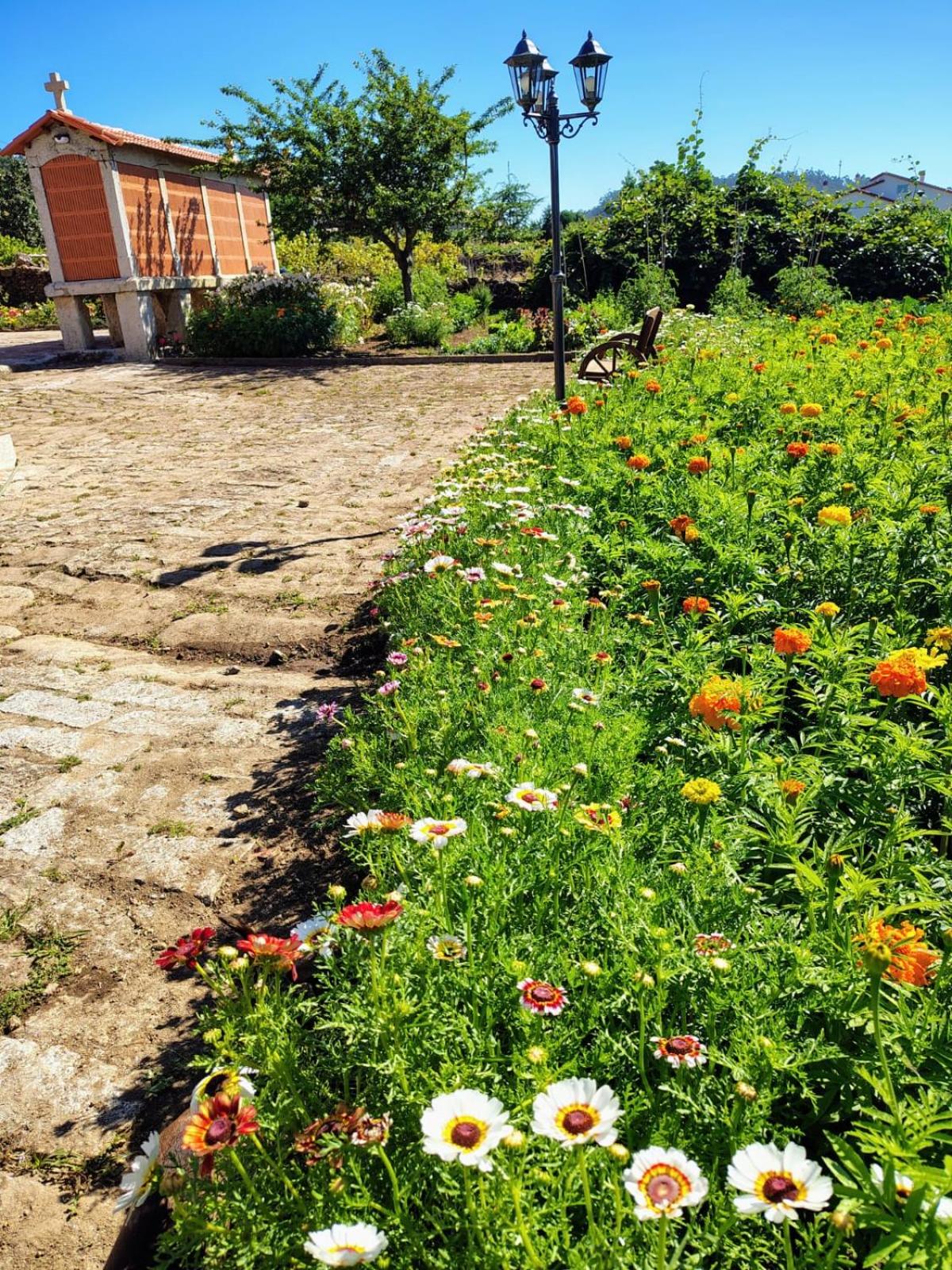 Casa Folhas Novas