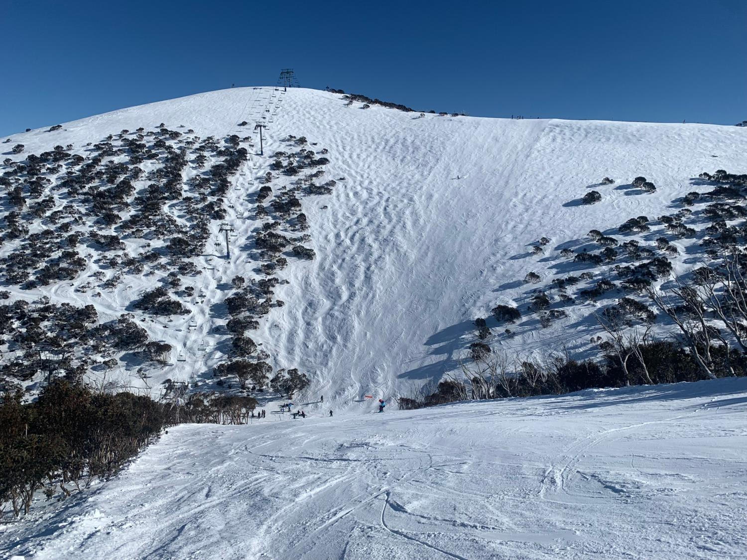 Higgi Drive 1 Ski-In Ski-Out