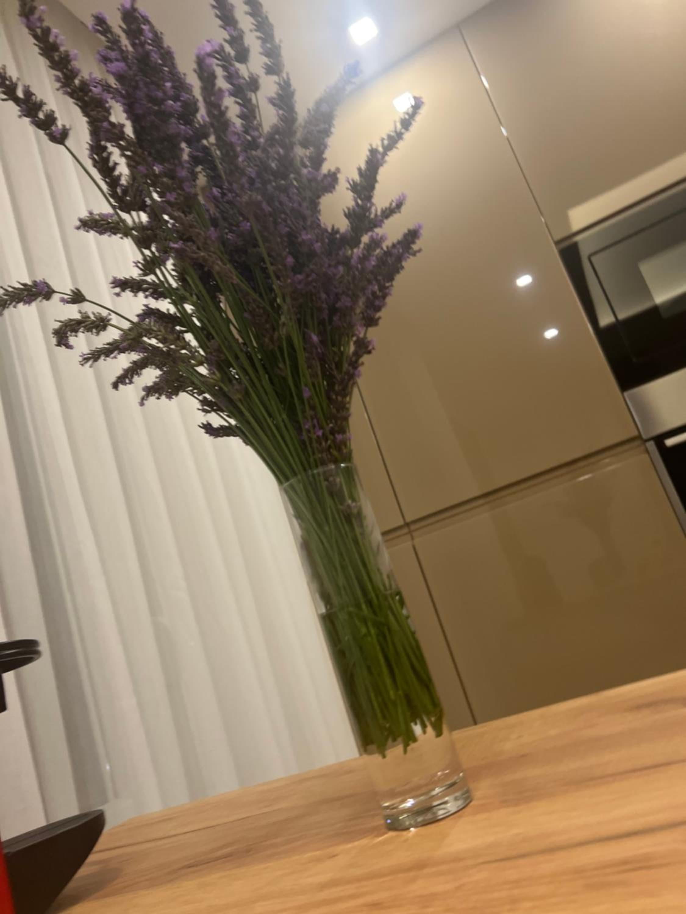 Centar Penthouse