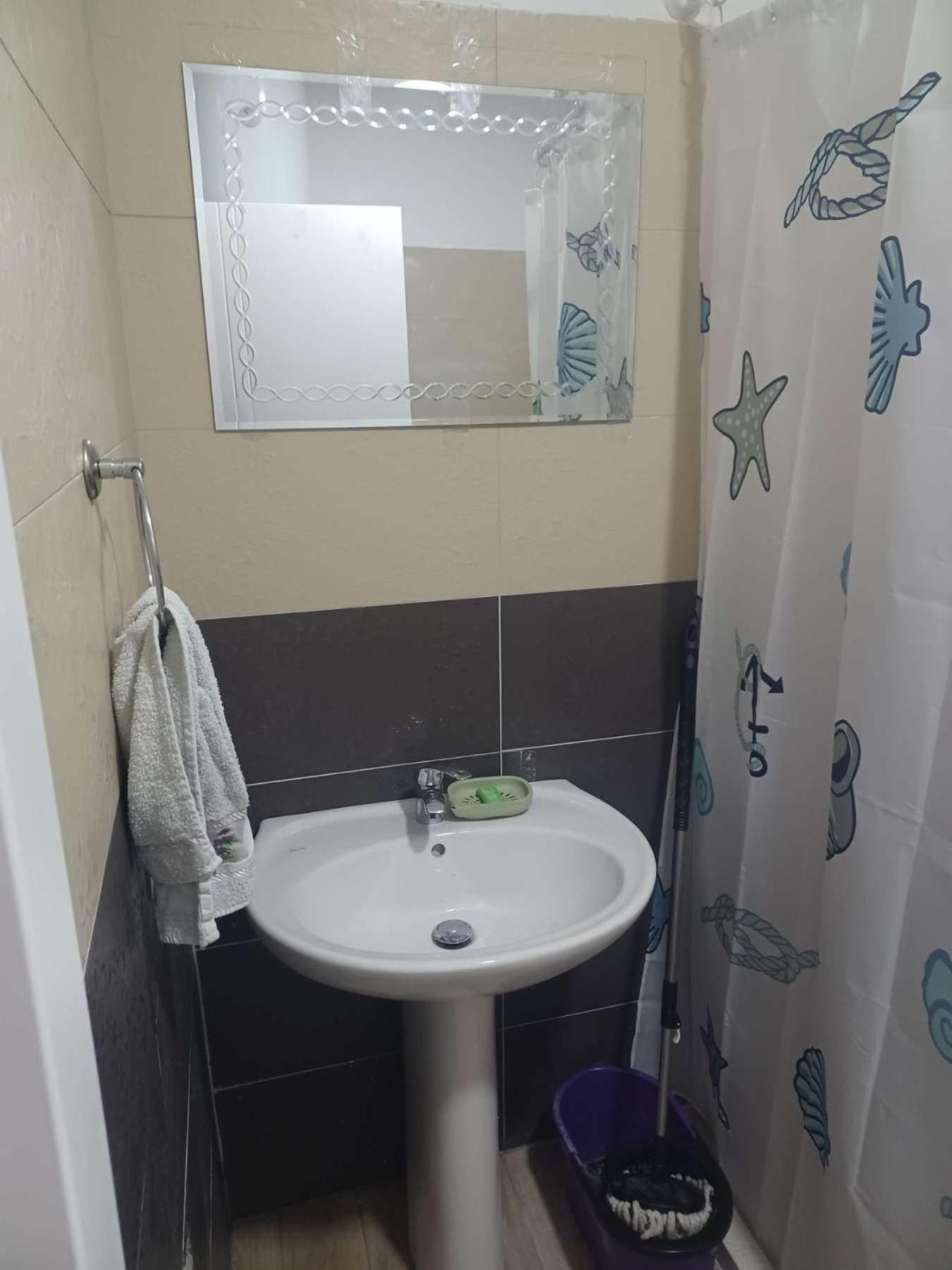 Rent Apartment Losi