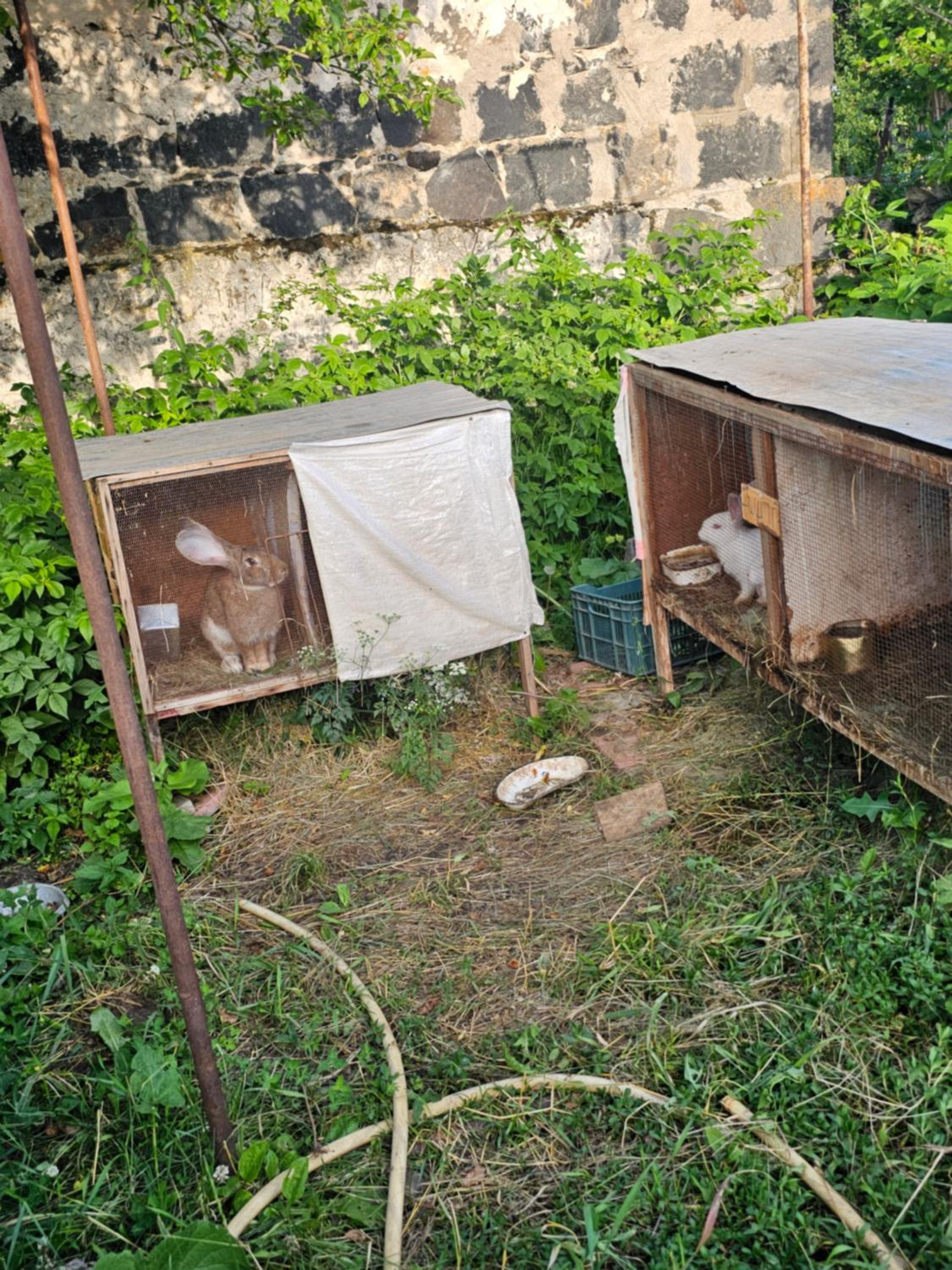 Manan Guesthouse