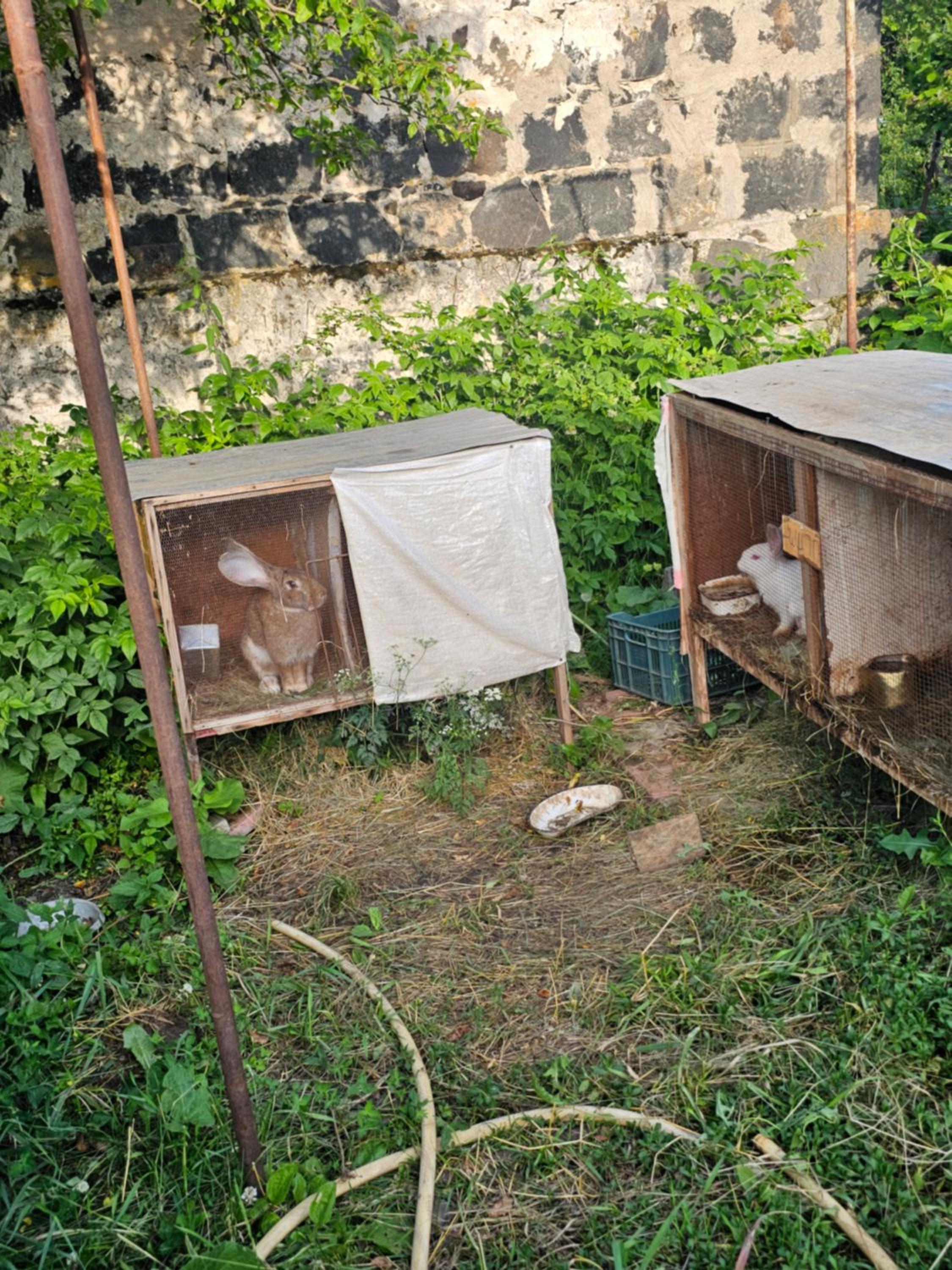 Manan Guesthouse