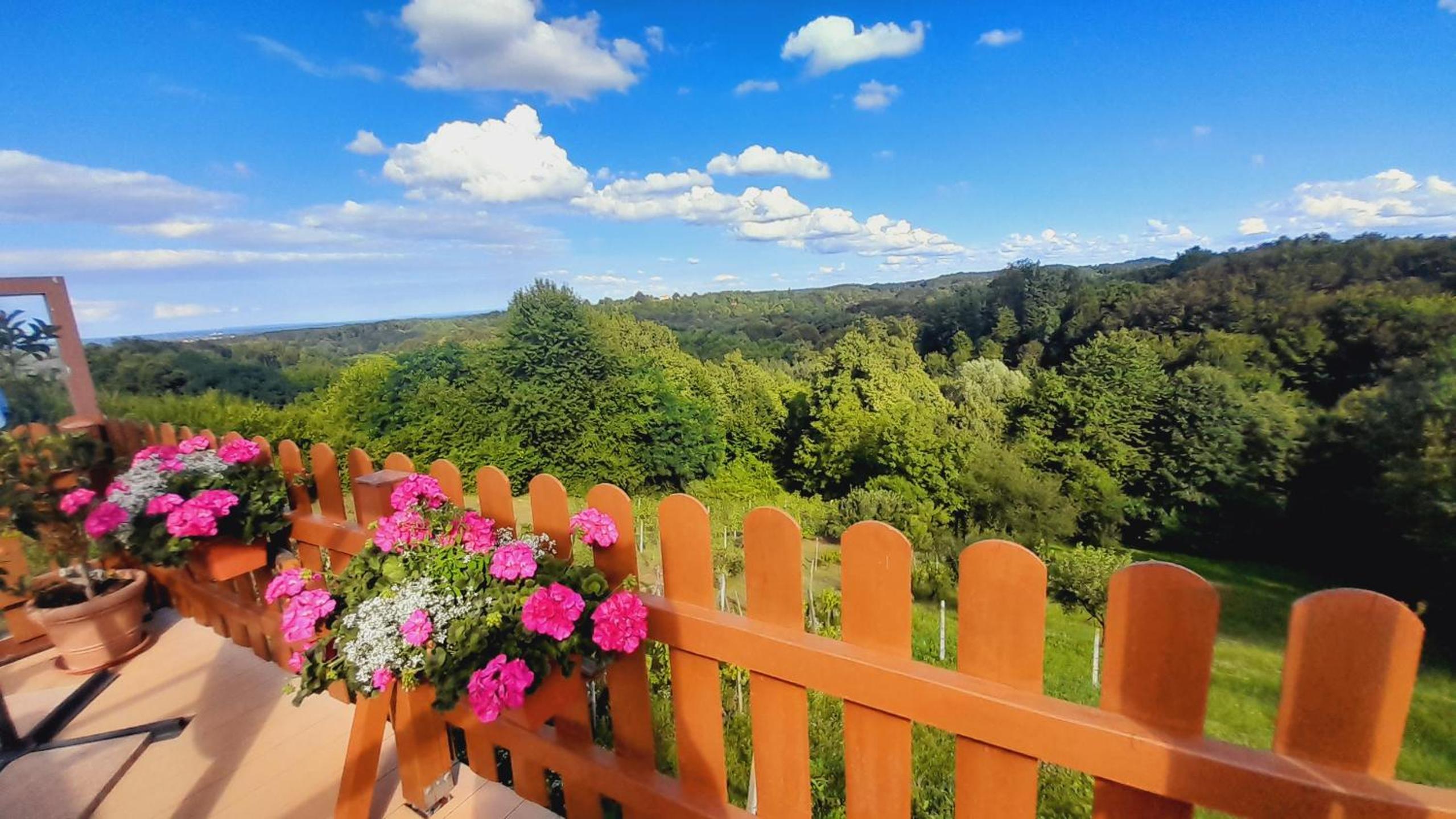 Kuca za odmor klet Šaban view 3