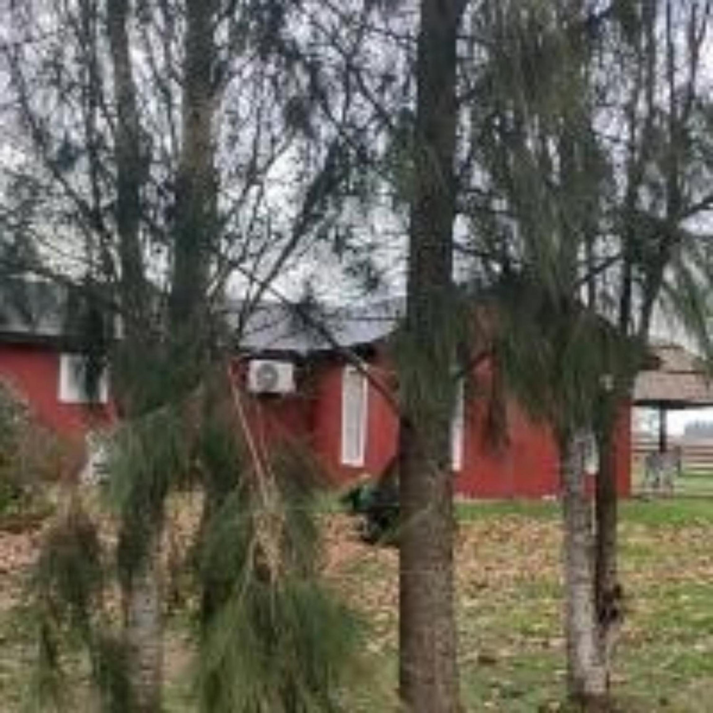 Finca Las Tres Marías