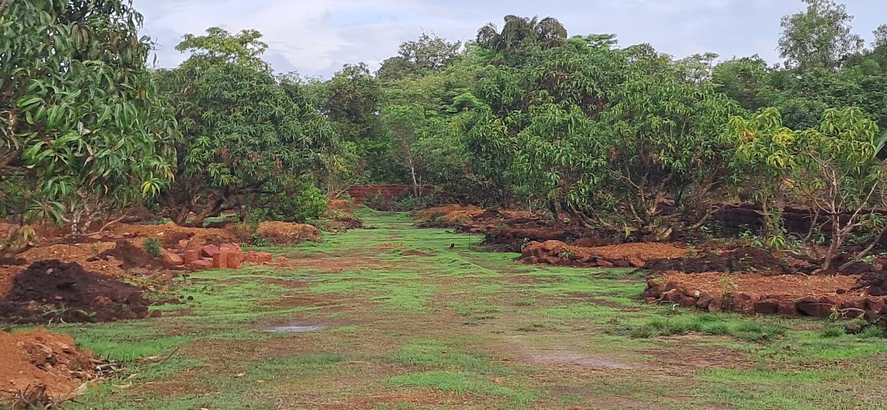 Arpita FarmStay