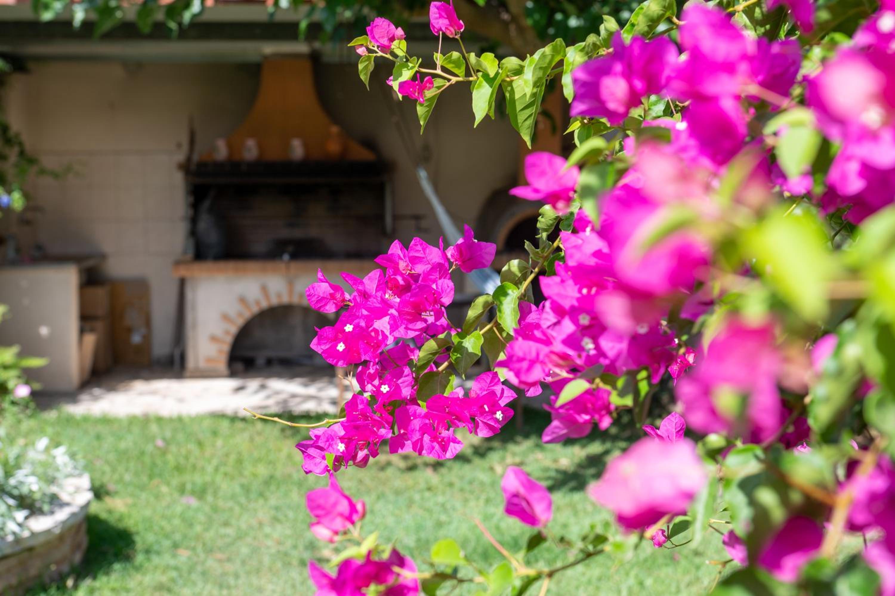 Garden Home