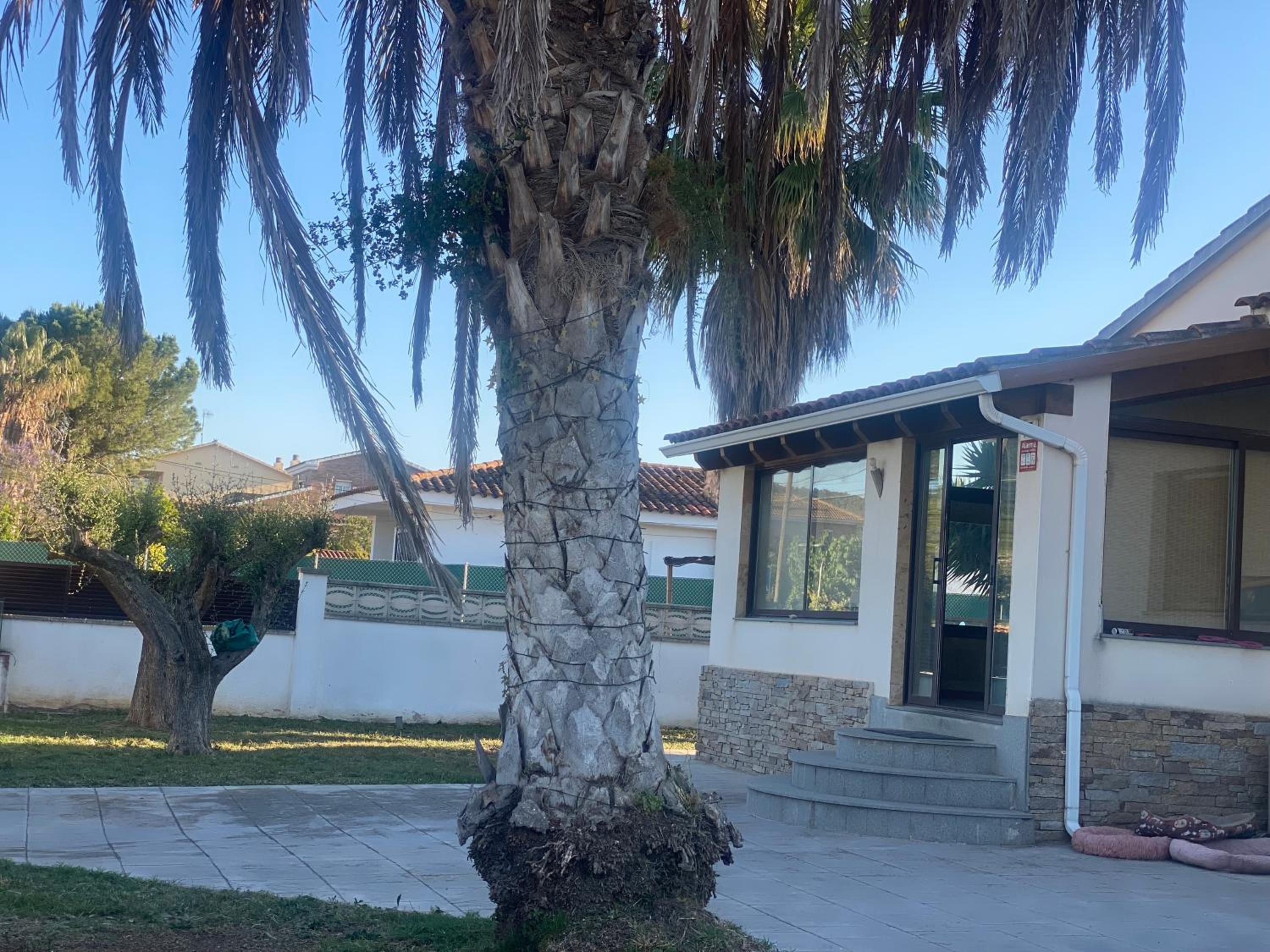 La Mediterranea Village