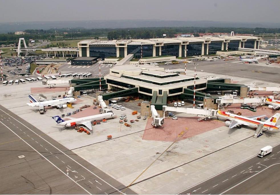 Malpensa airport-Safari park-Starry sky-Netflix