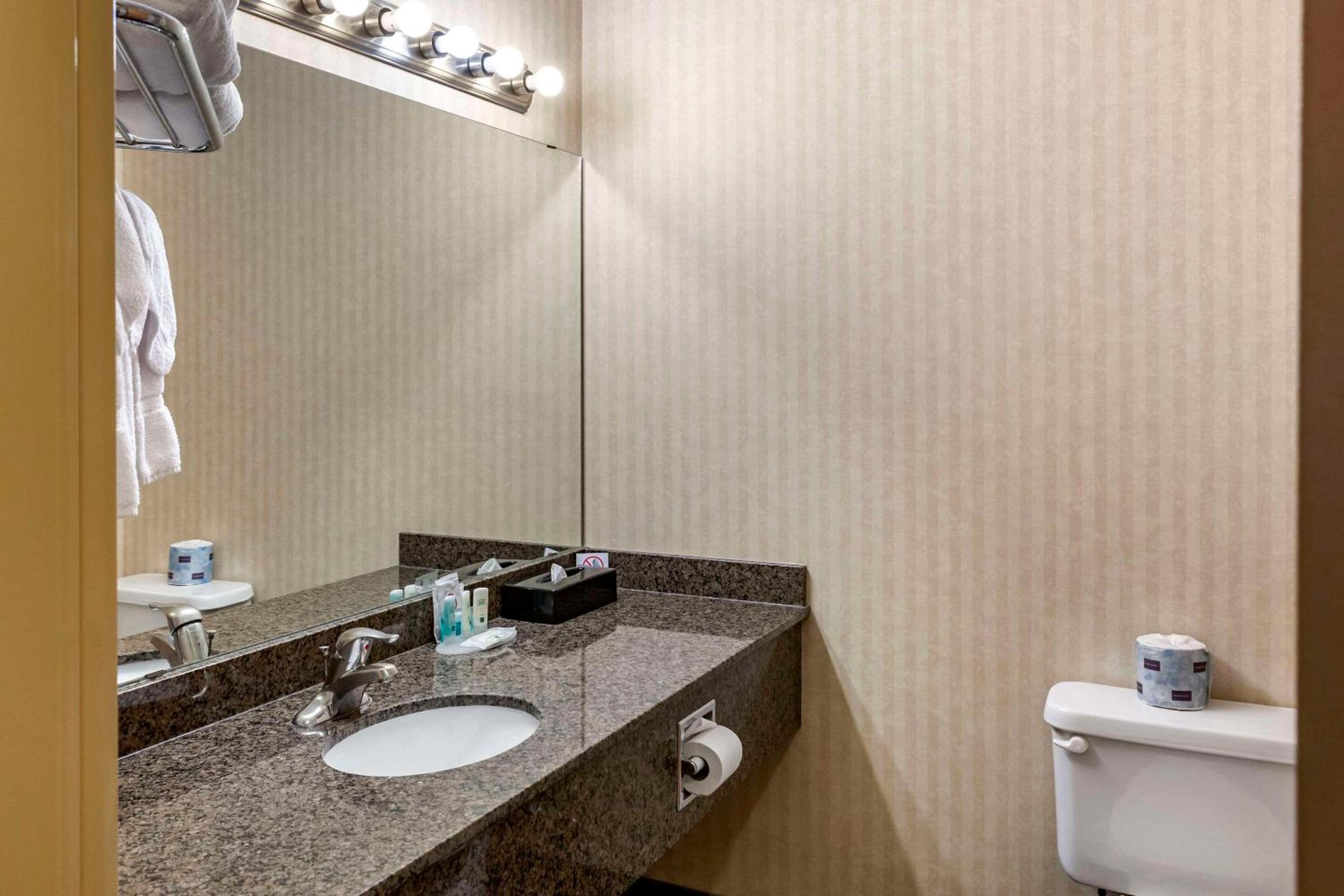Leduc Vacations - Quality Inn  Suites Edmonton International Airport - Property Image 8